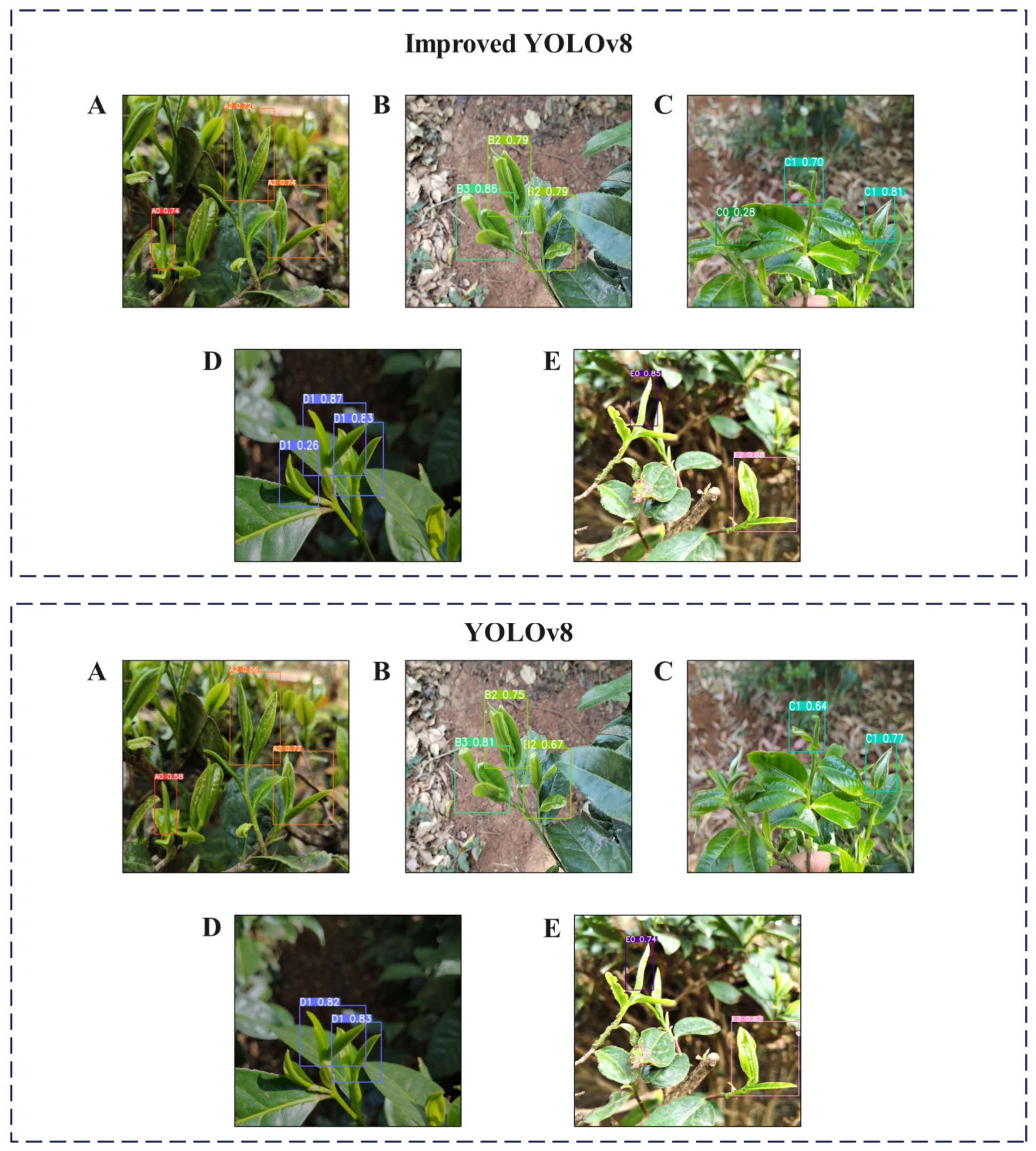 Agriculture 14 02324 g010