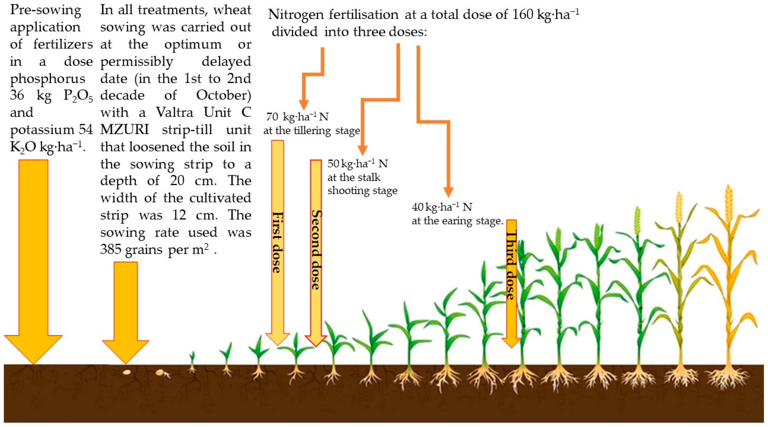 Agriculture 14 02345 g005