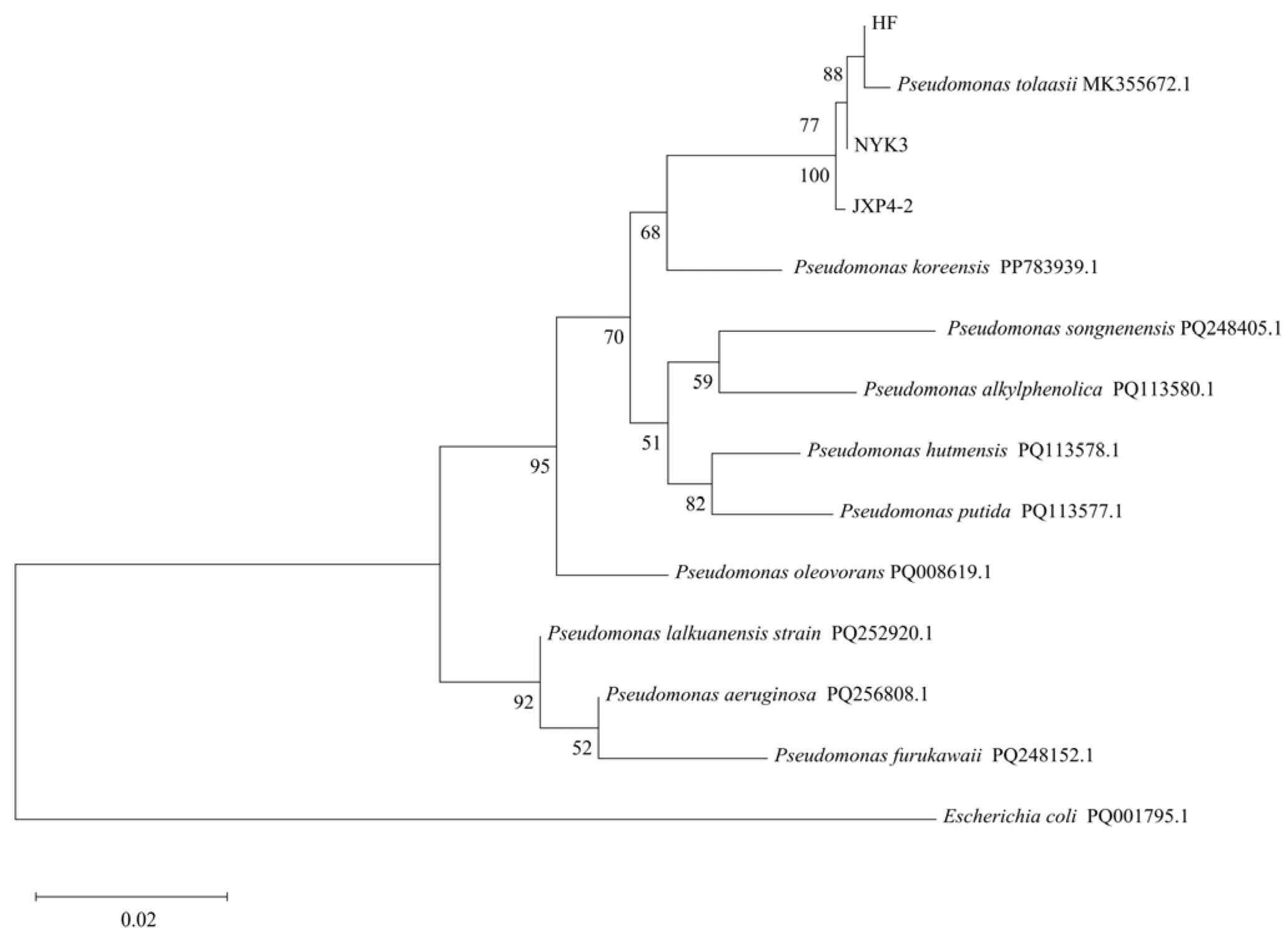 Agriculture 14 02352 g001