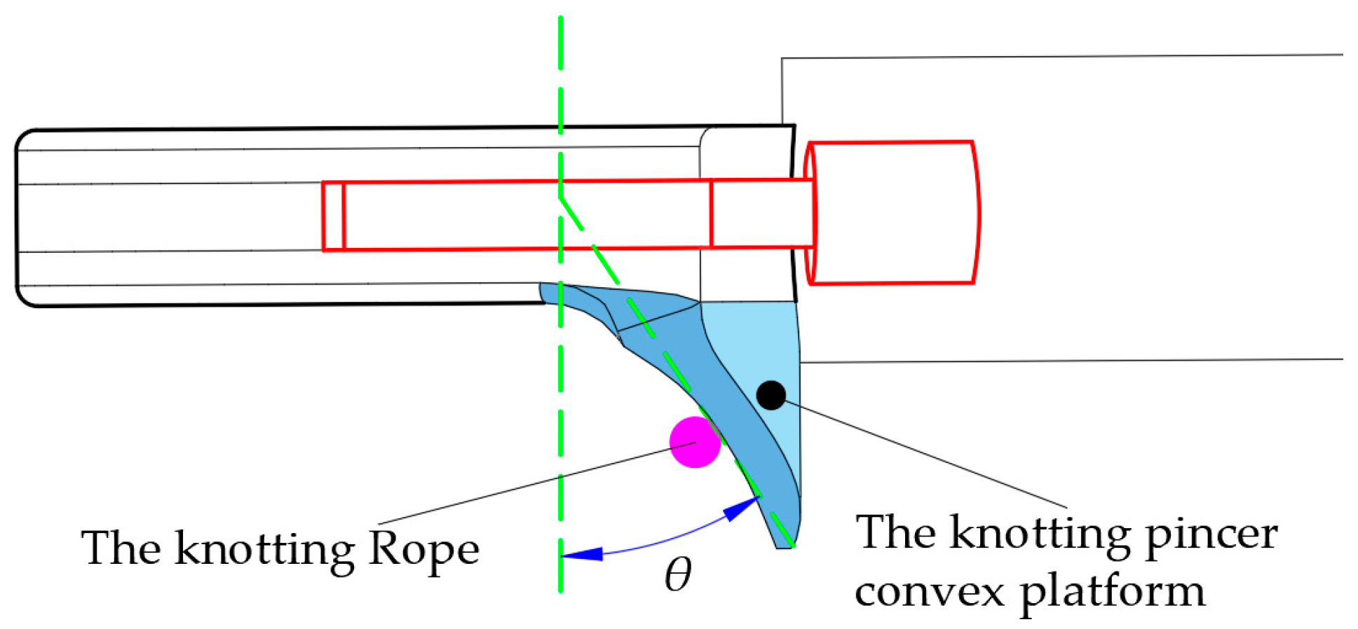 Agriculture 14 02359 g007