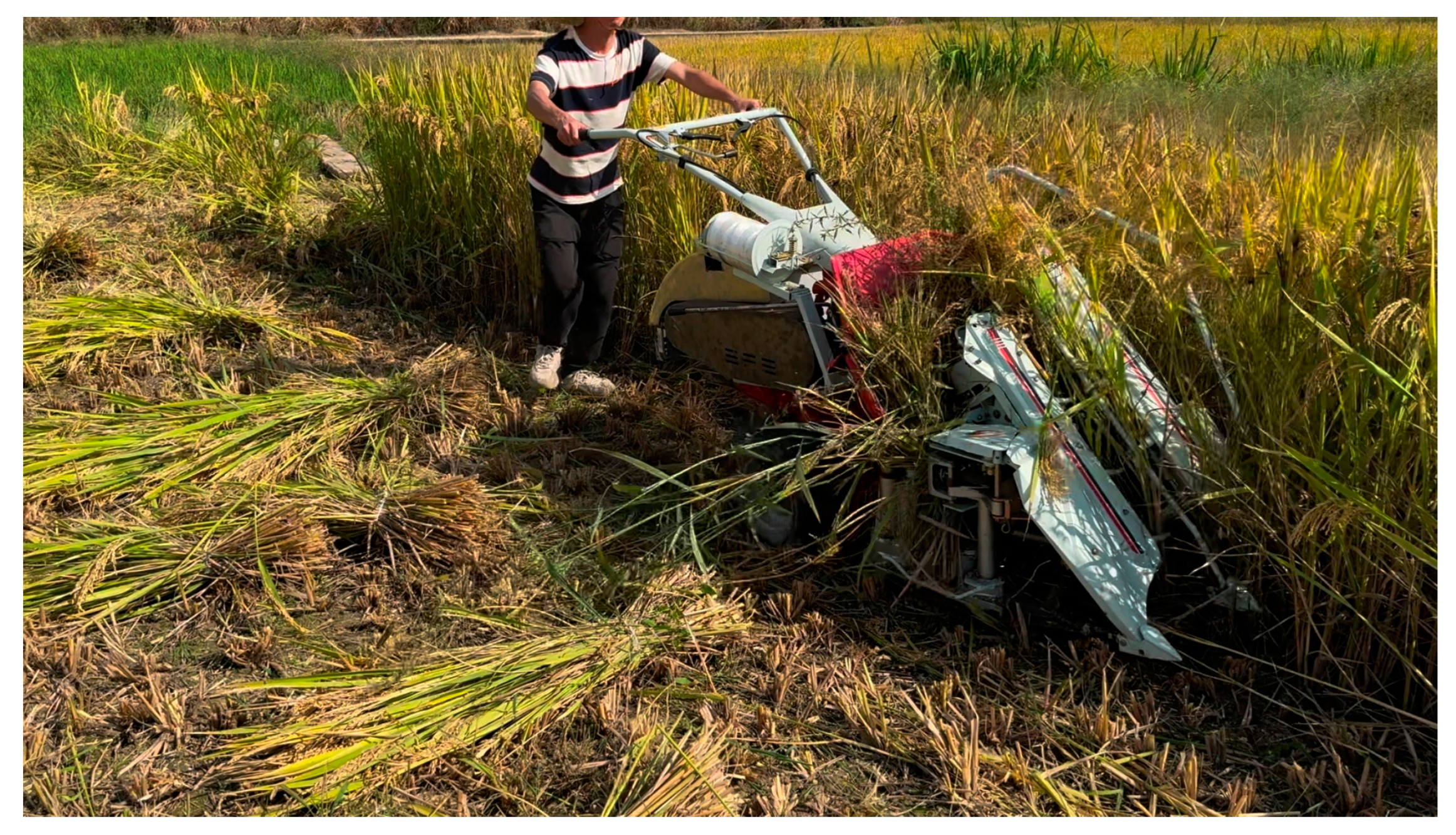 Agriculture 14 02359 g013