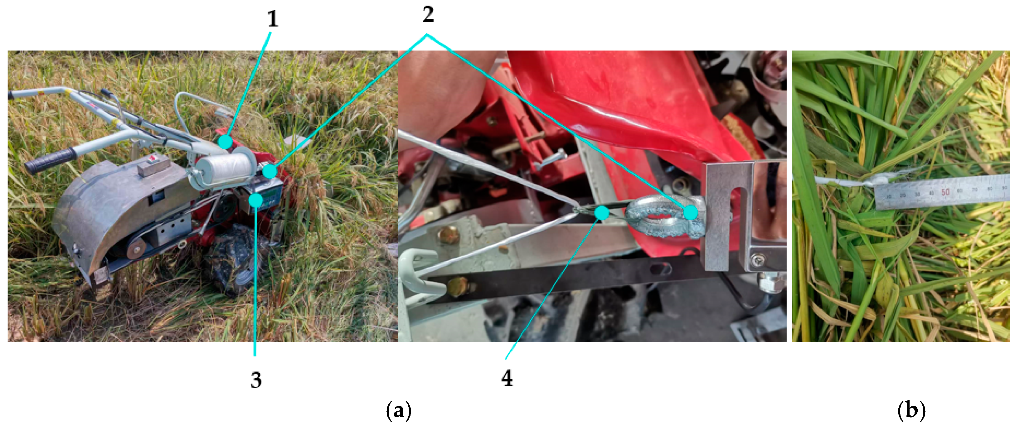 Agriculture 14 02359 g014