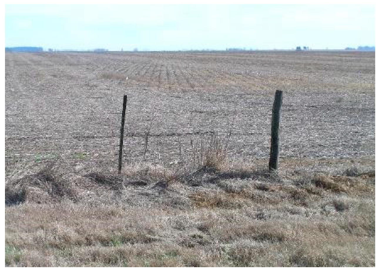 Agriculture 14 02368 g001