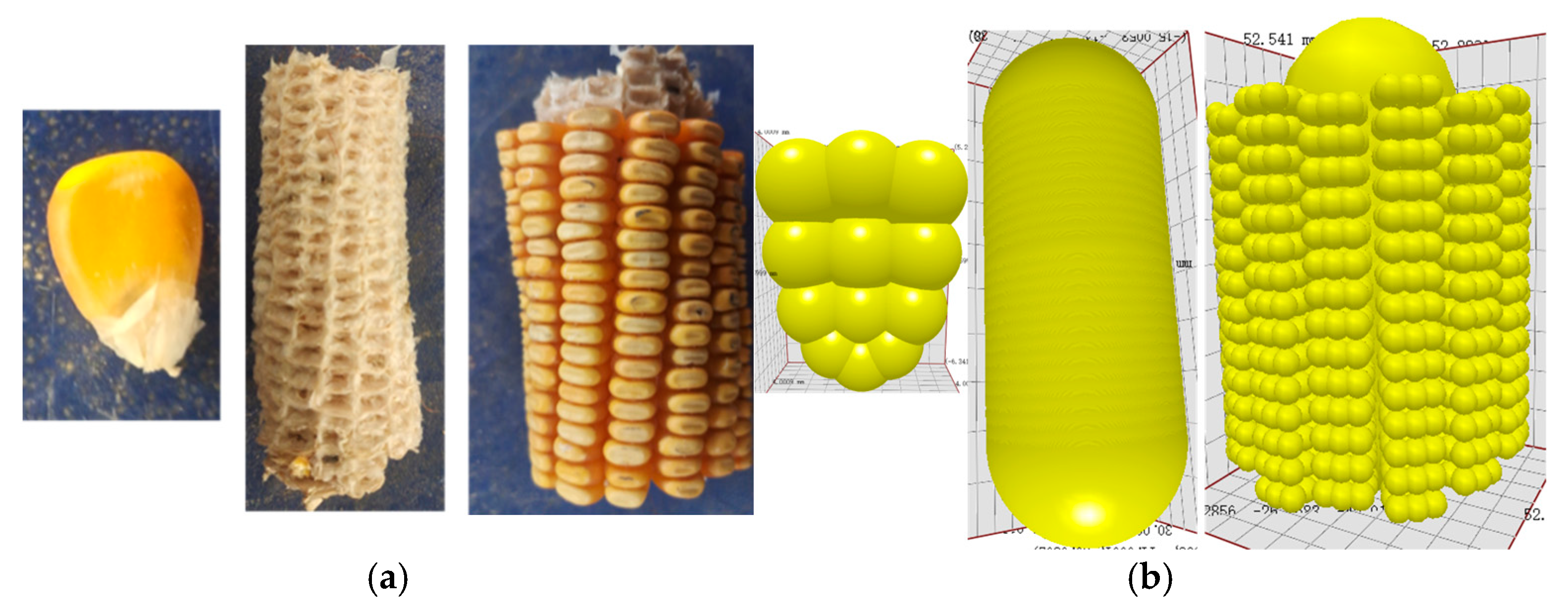 Agriculture 15 00004 g006