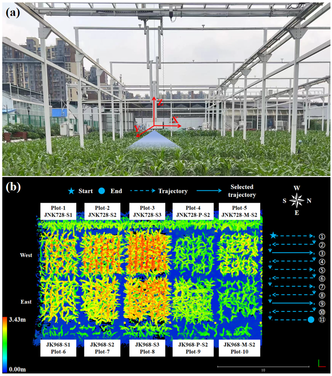 Agriculture 15 00006 g001