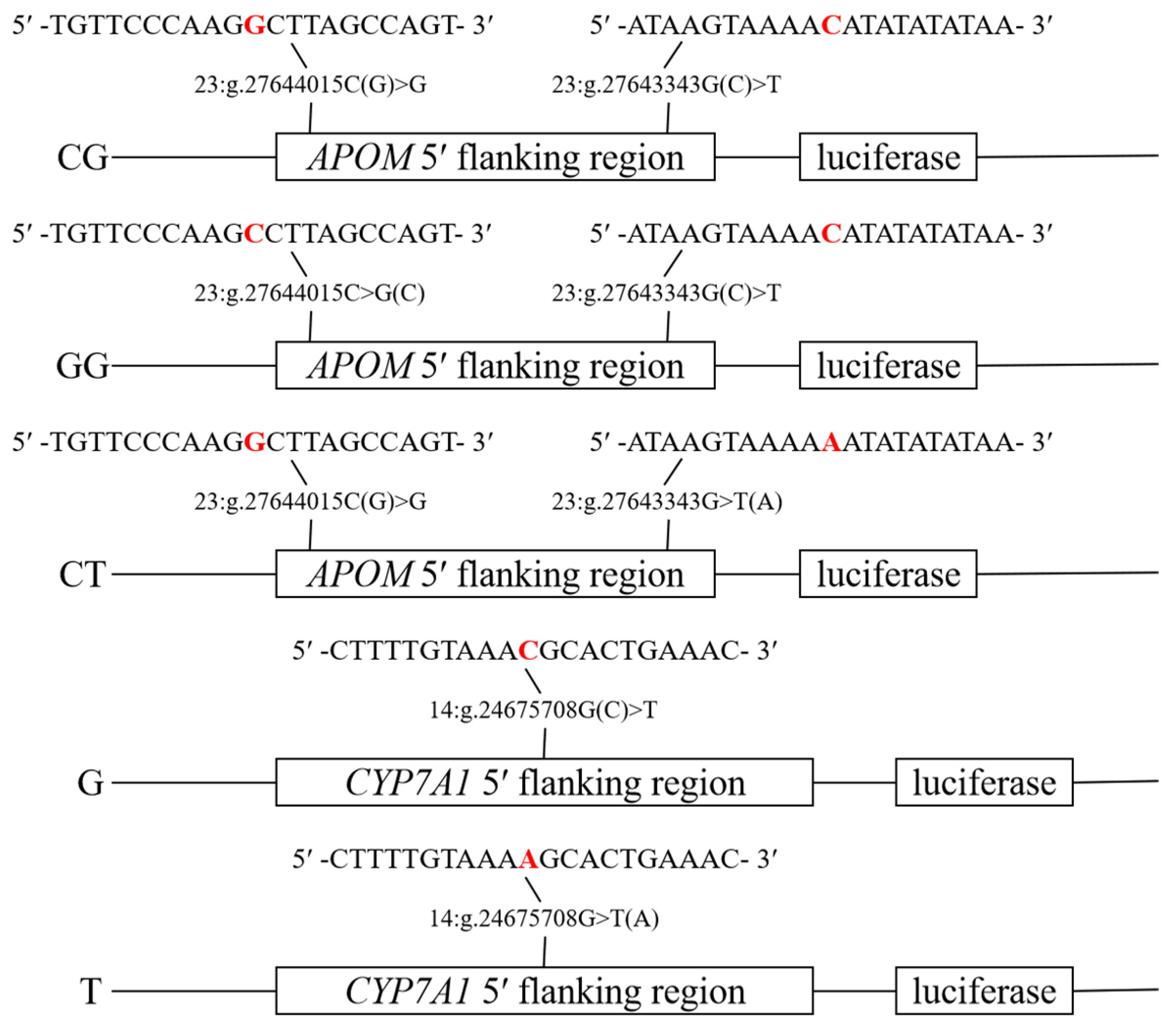Agriculture 15 00033 g001