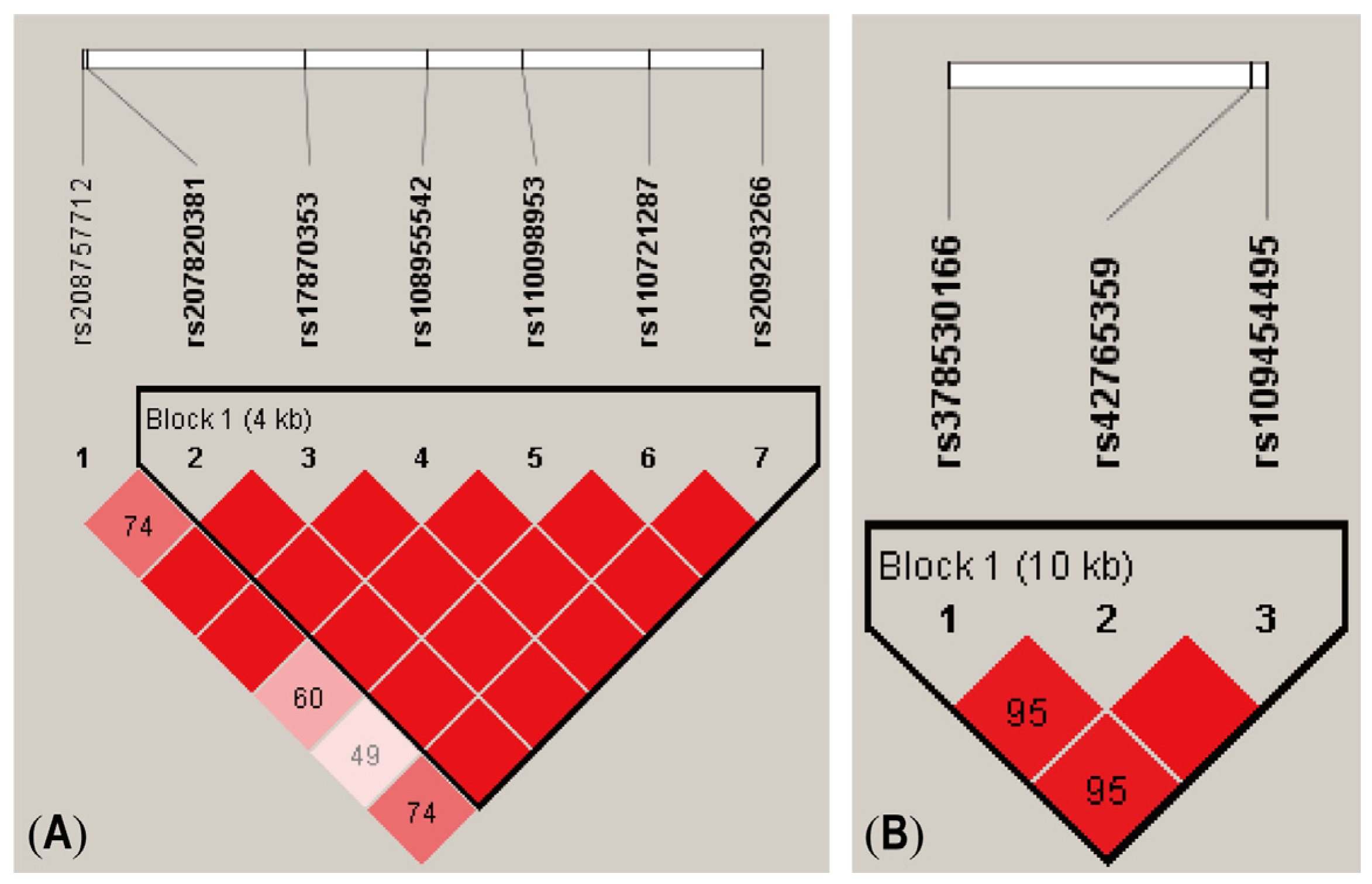 Agriculture 15 00033 g002