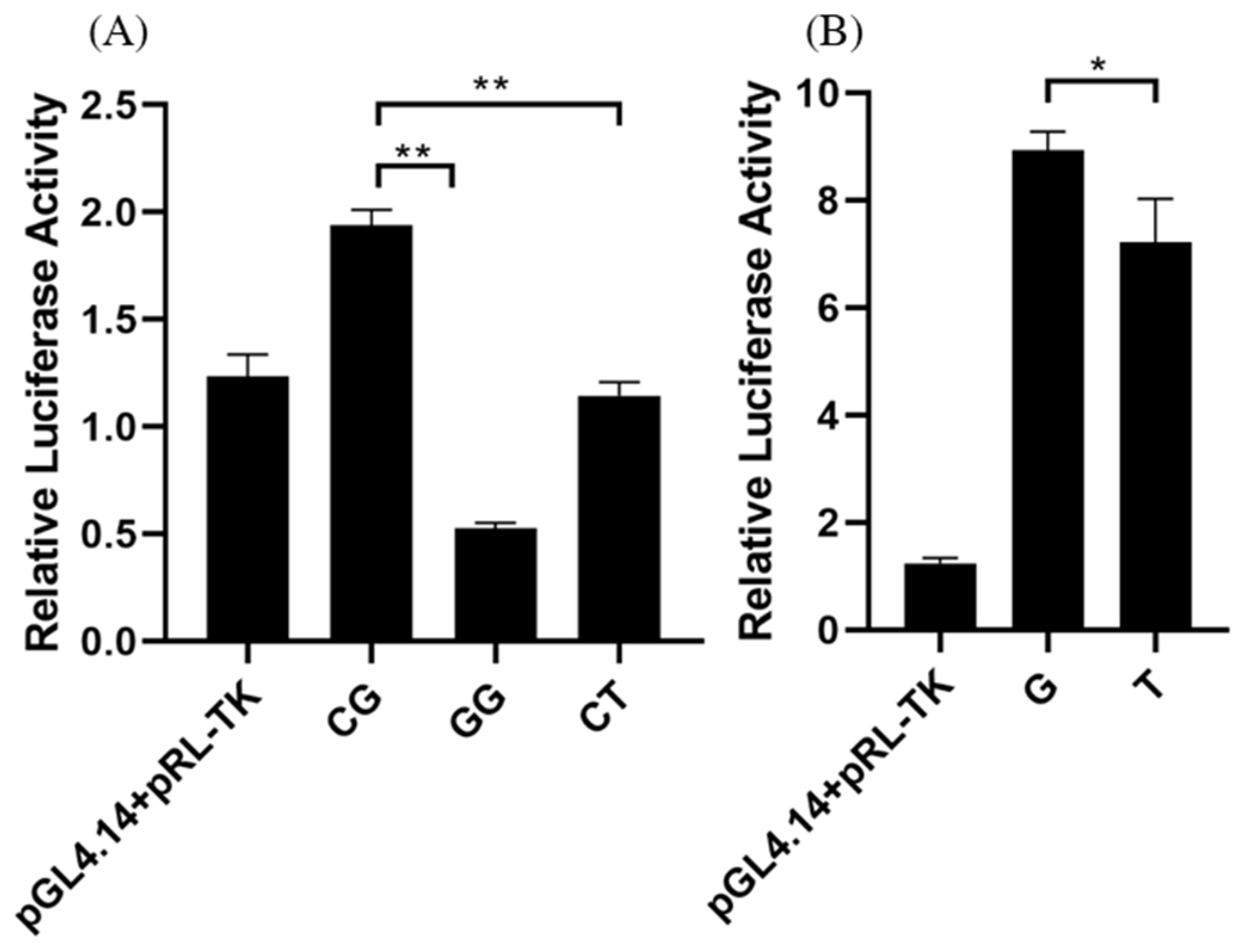 Agriculture 15 00033 g003