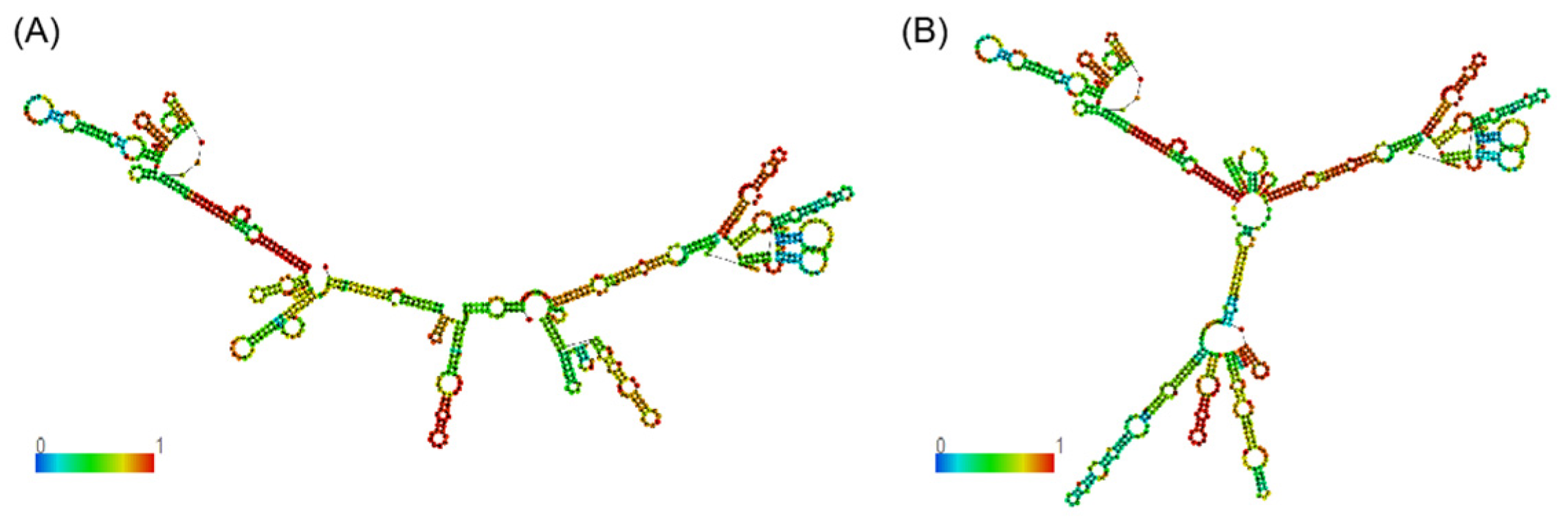 Agriculture 15 00033 g004a