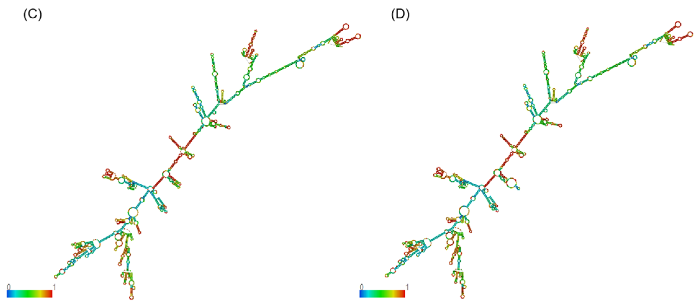 Agriculture 15 00033 g004b
