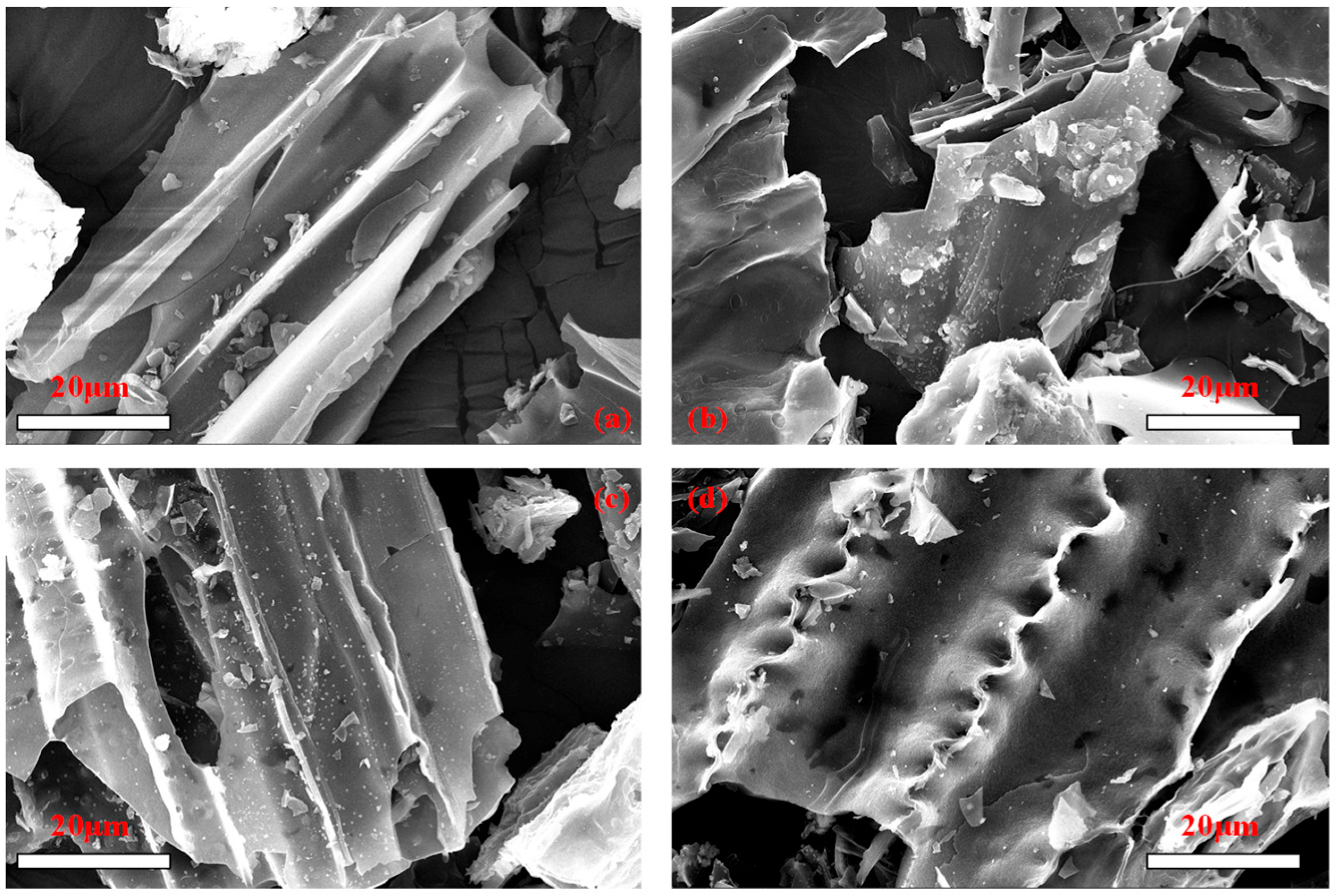 Agriculture 15 00045 g002