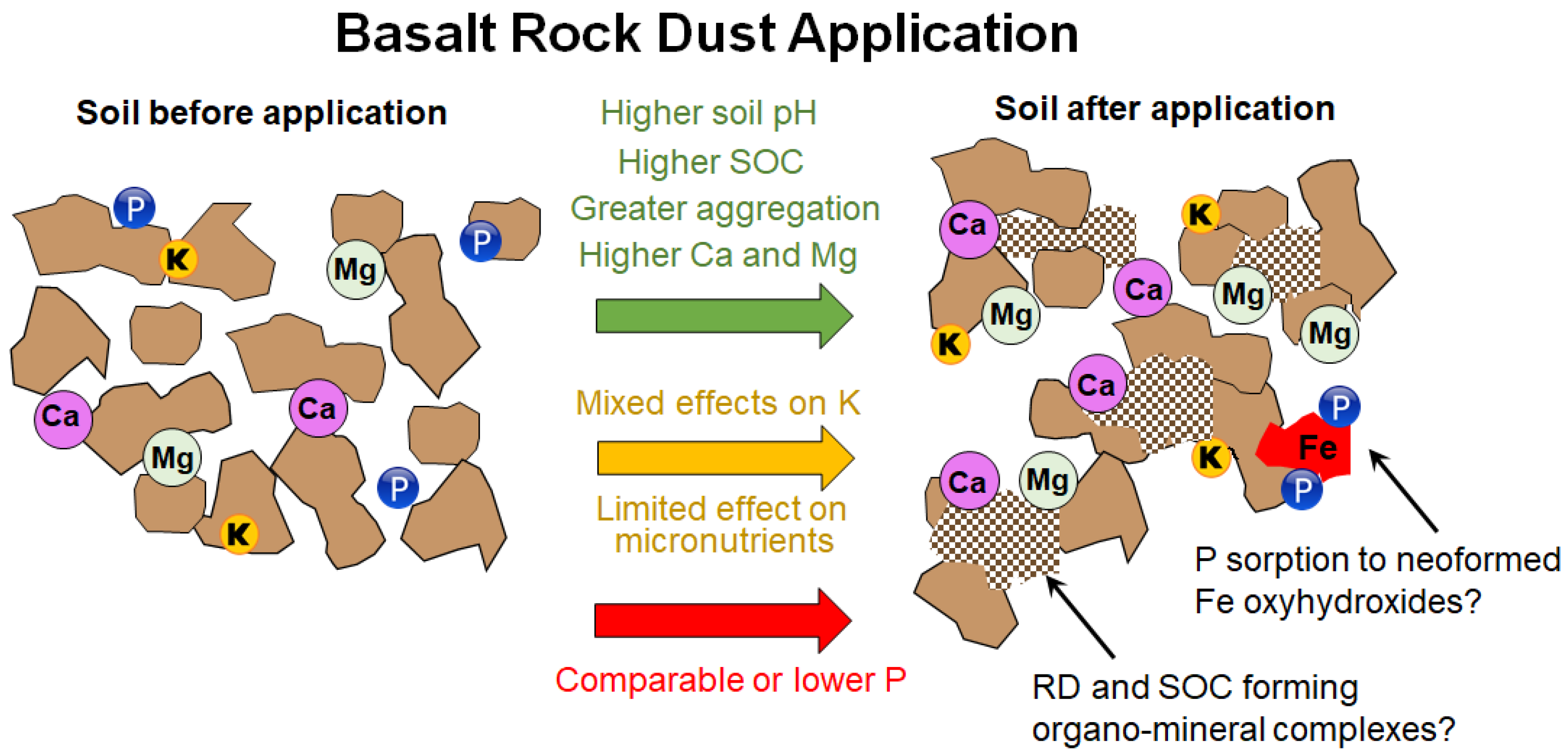 Agriculture 15 00052 g007