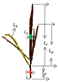 Agriculture 15 00085 i001