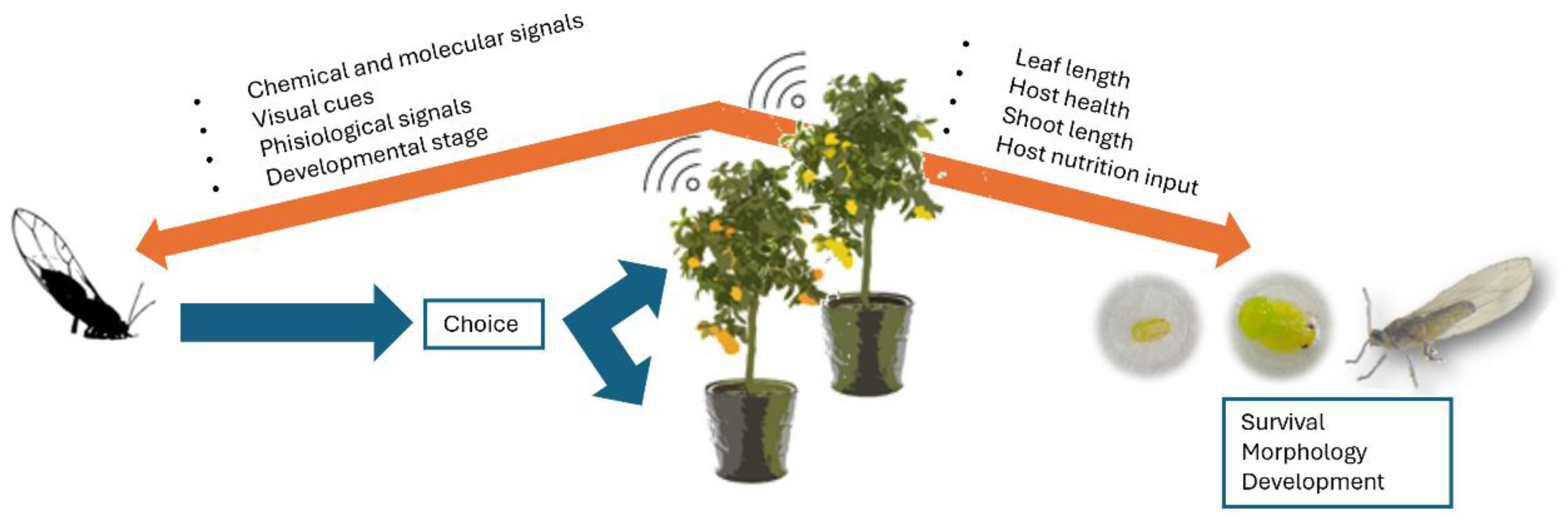 Agriculture 15 00101 g002