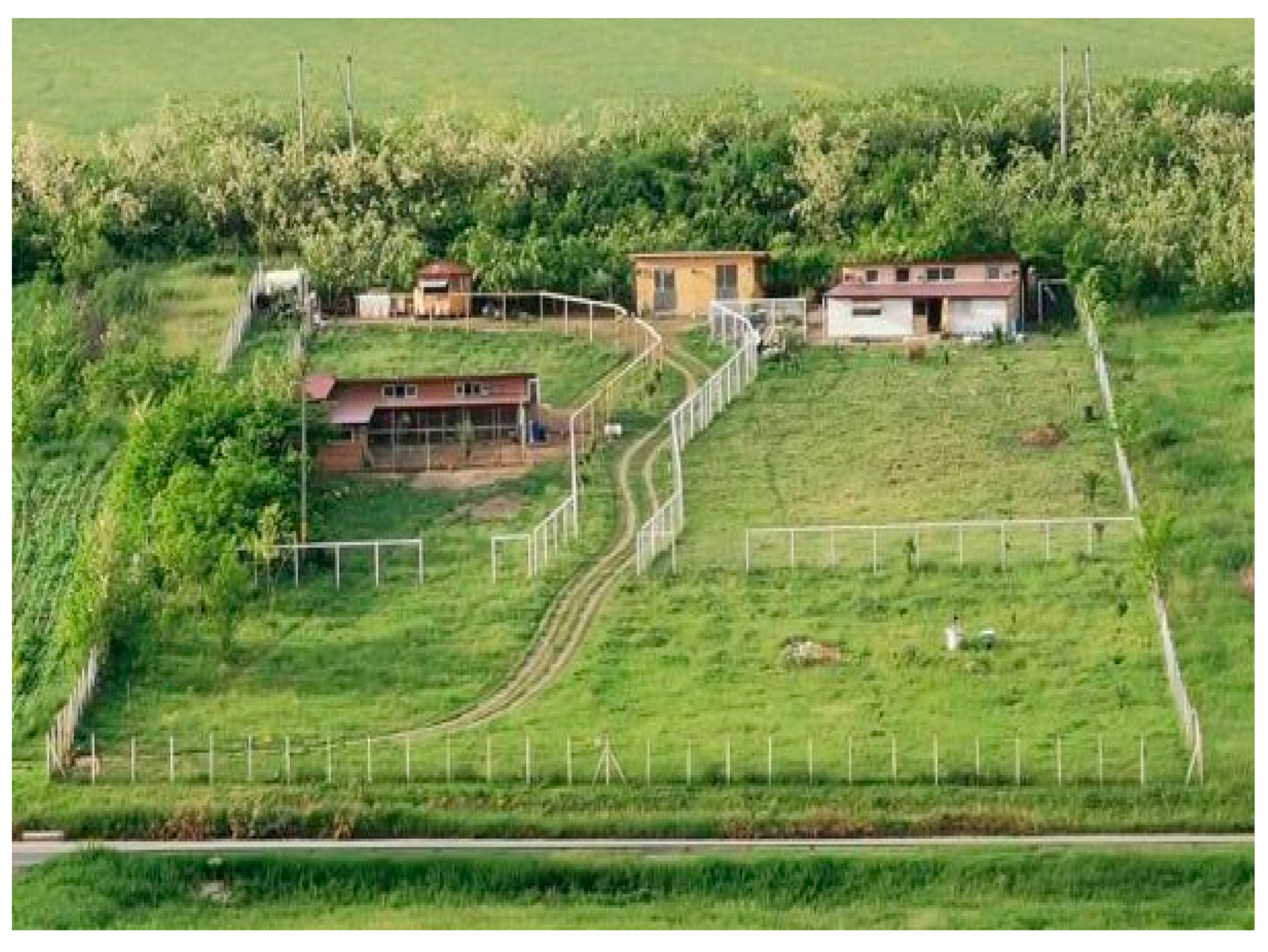 Agriculture 15 00104 g001