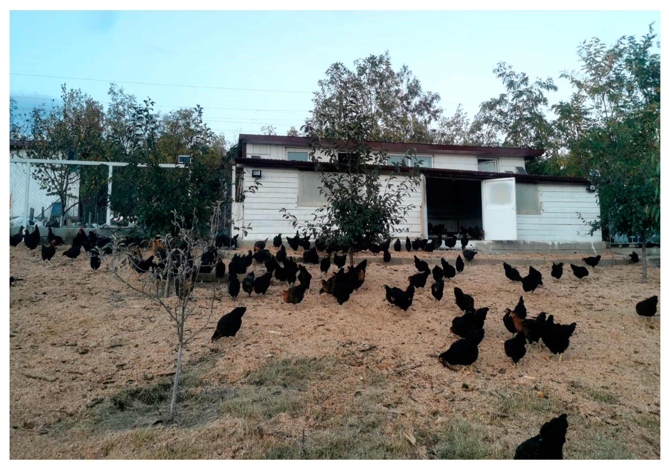 Agriculture 15 00104 g002