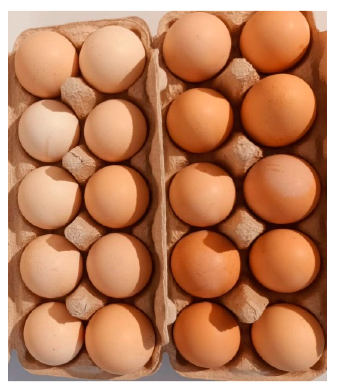 Agriculture 15 00104 g003