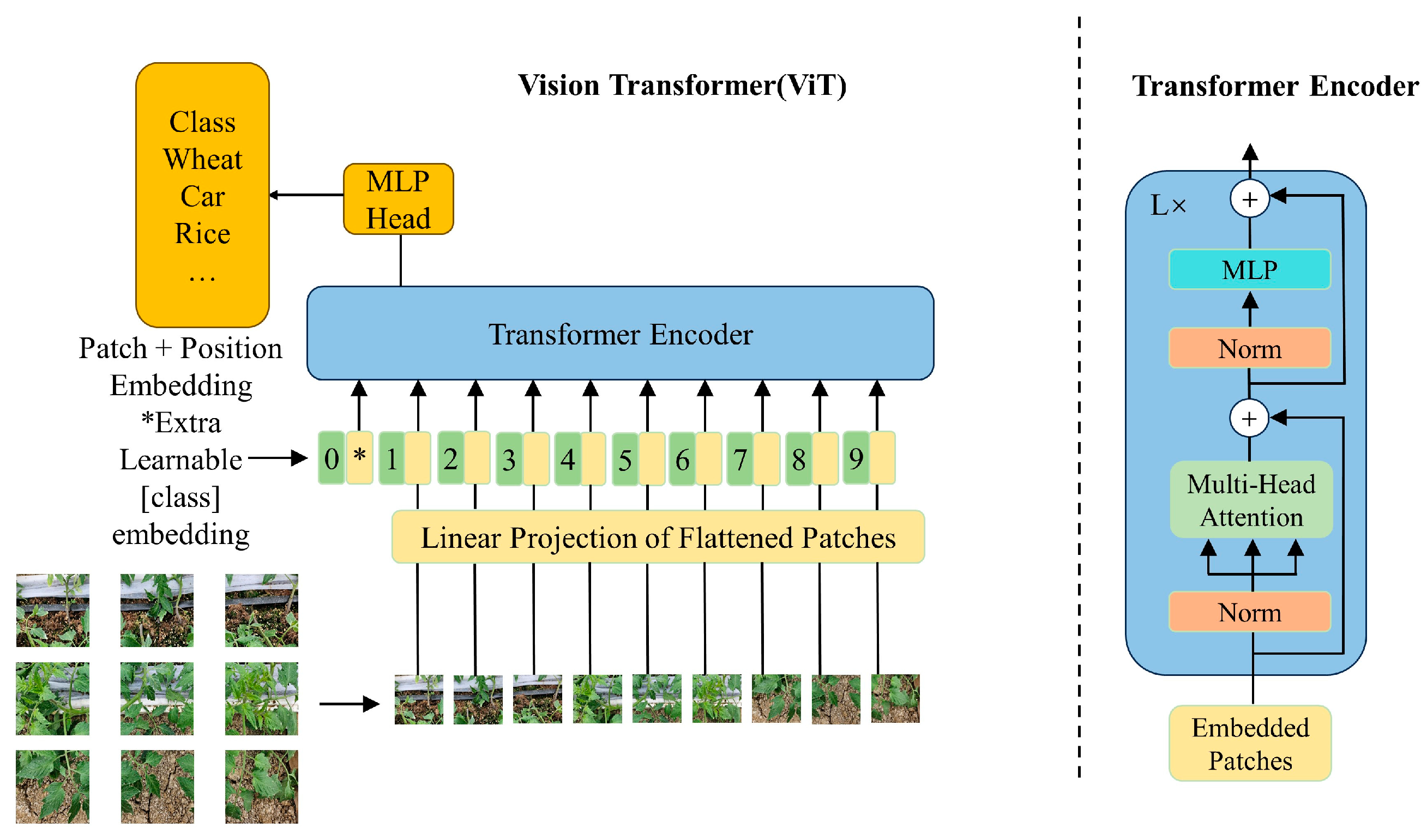 Agriculture 15 00120 g003