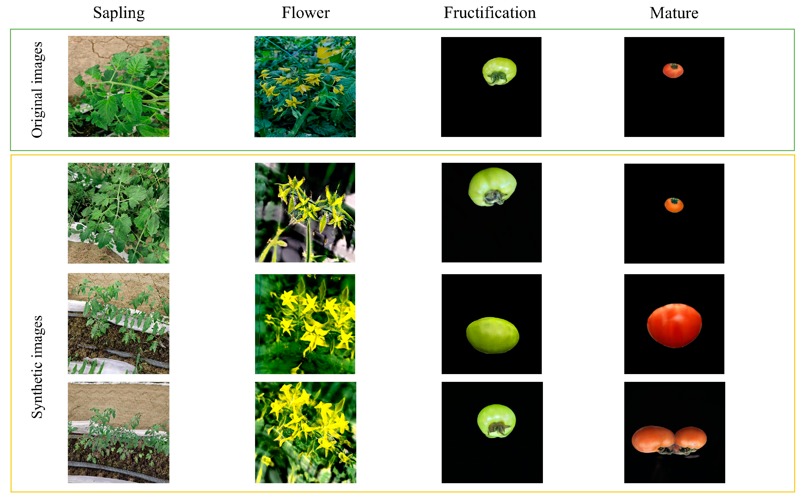 Agriculture 15 00120 g004