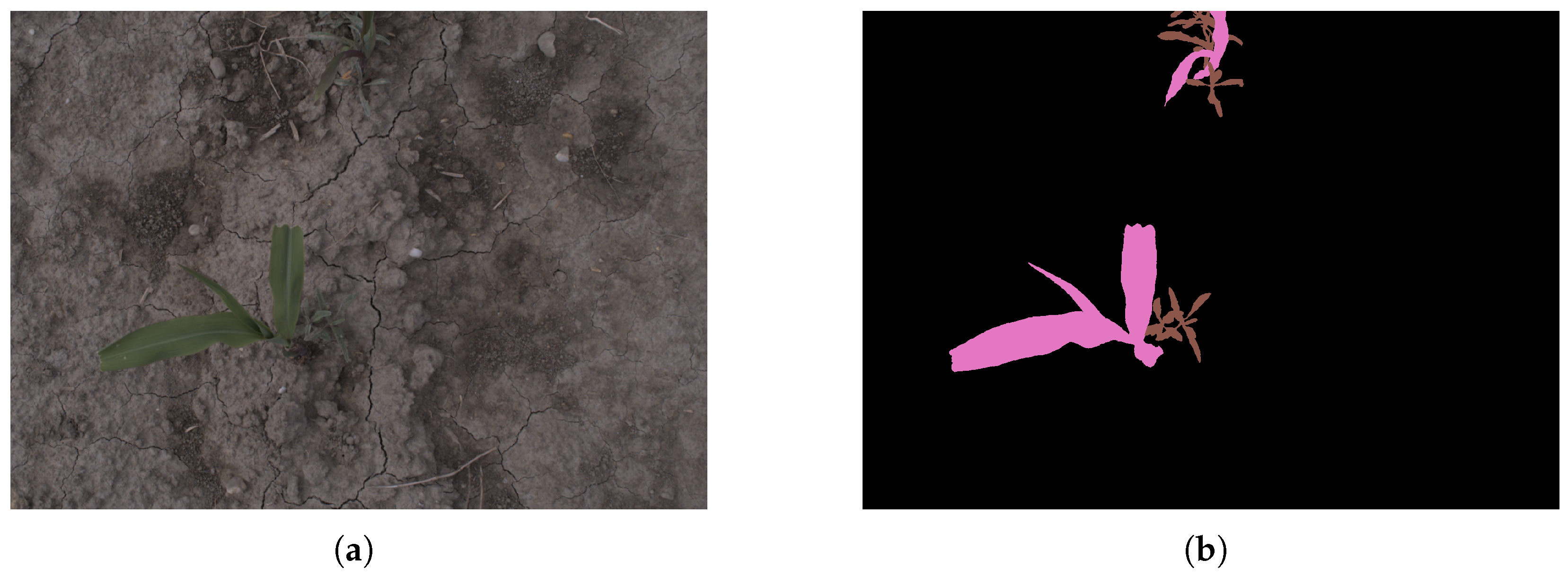 Agriculture 15 00138 g001