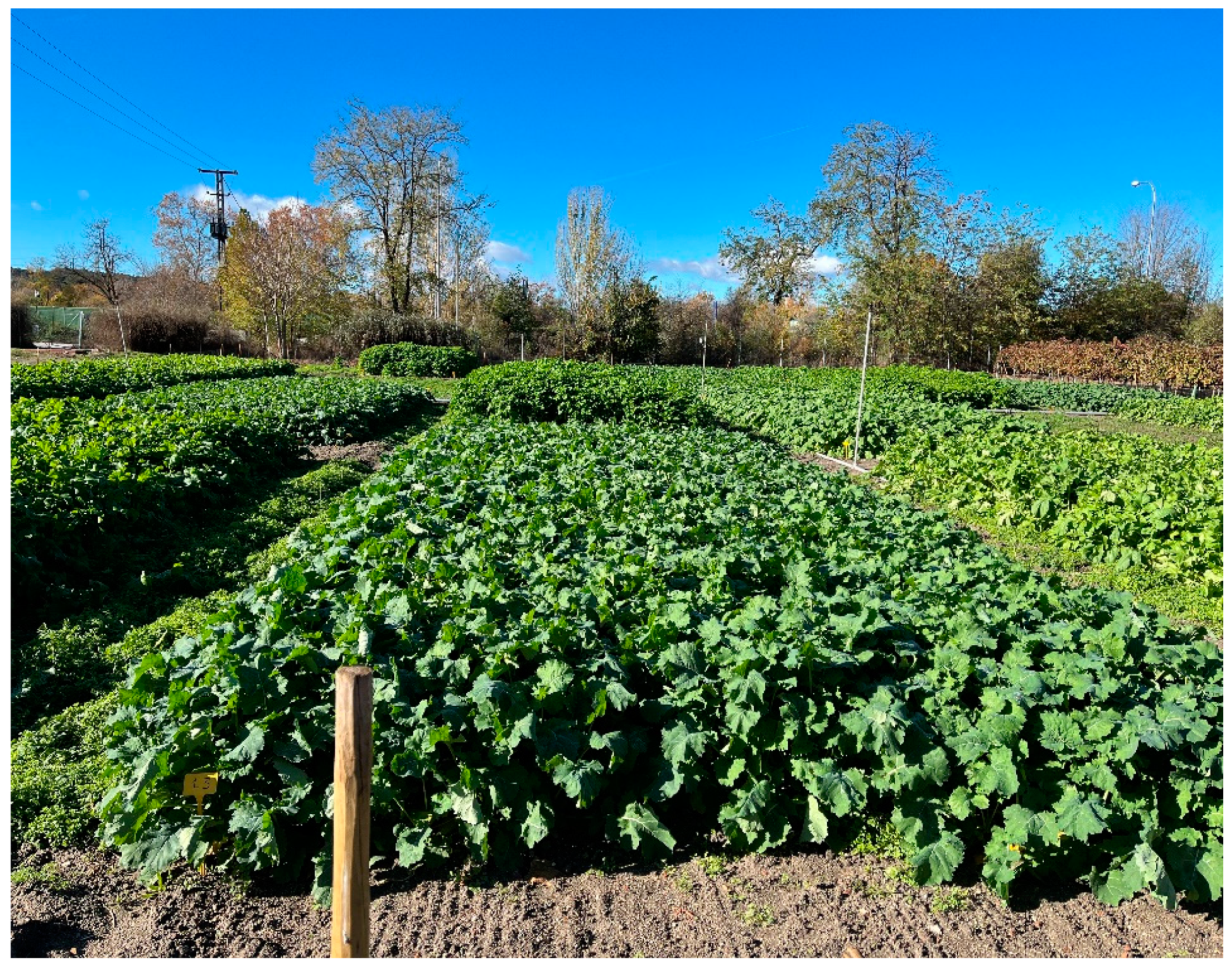 Agriculture 15 00147 g003 Agriculture 15 00147 g003