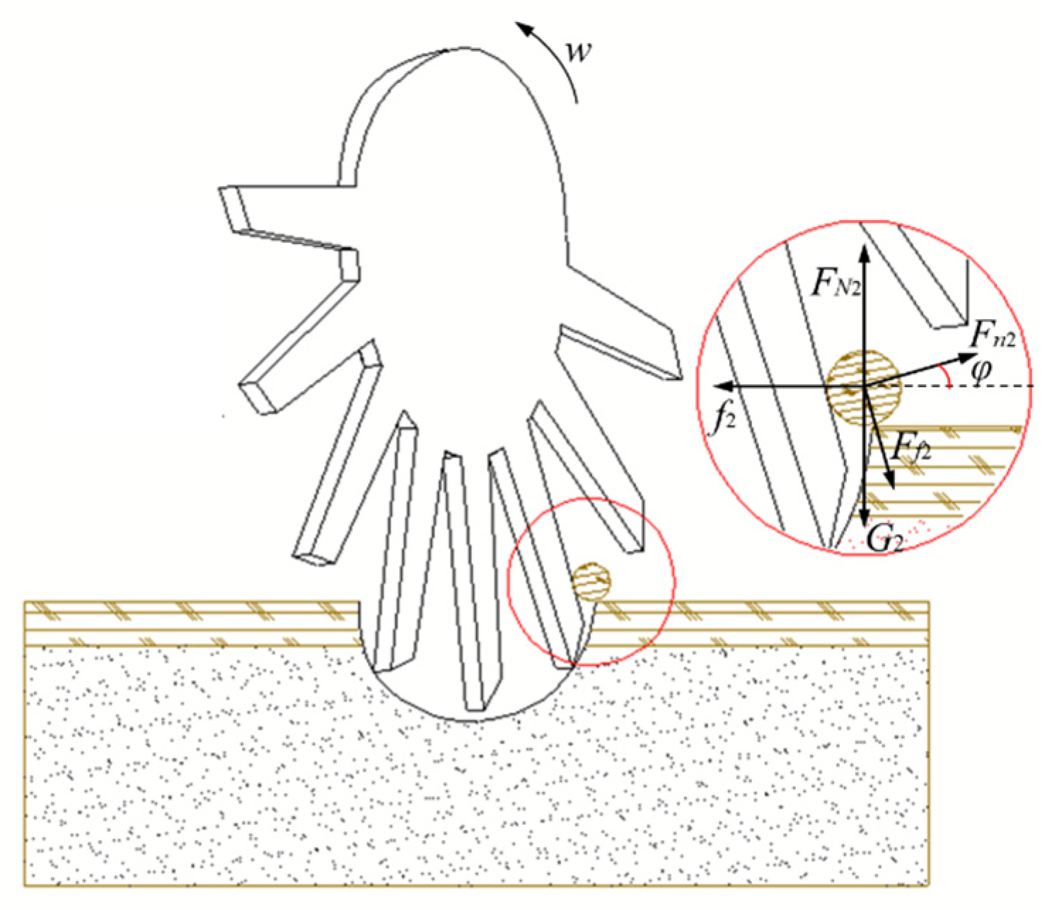 Agriculture 15 00152 g006