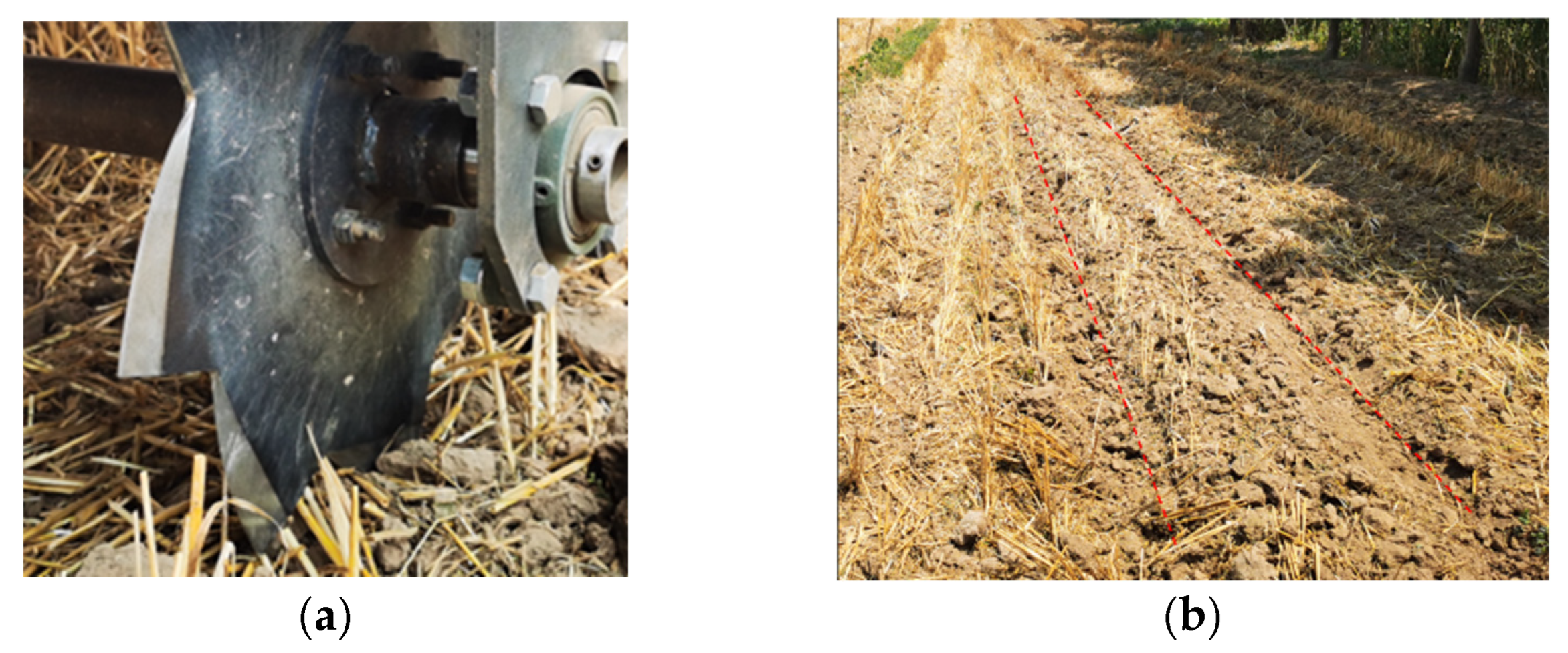 Agriculture 15 00152 g015