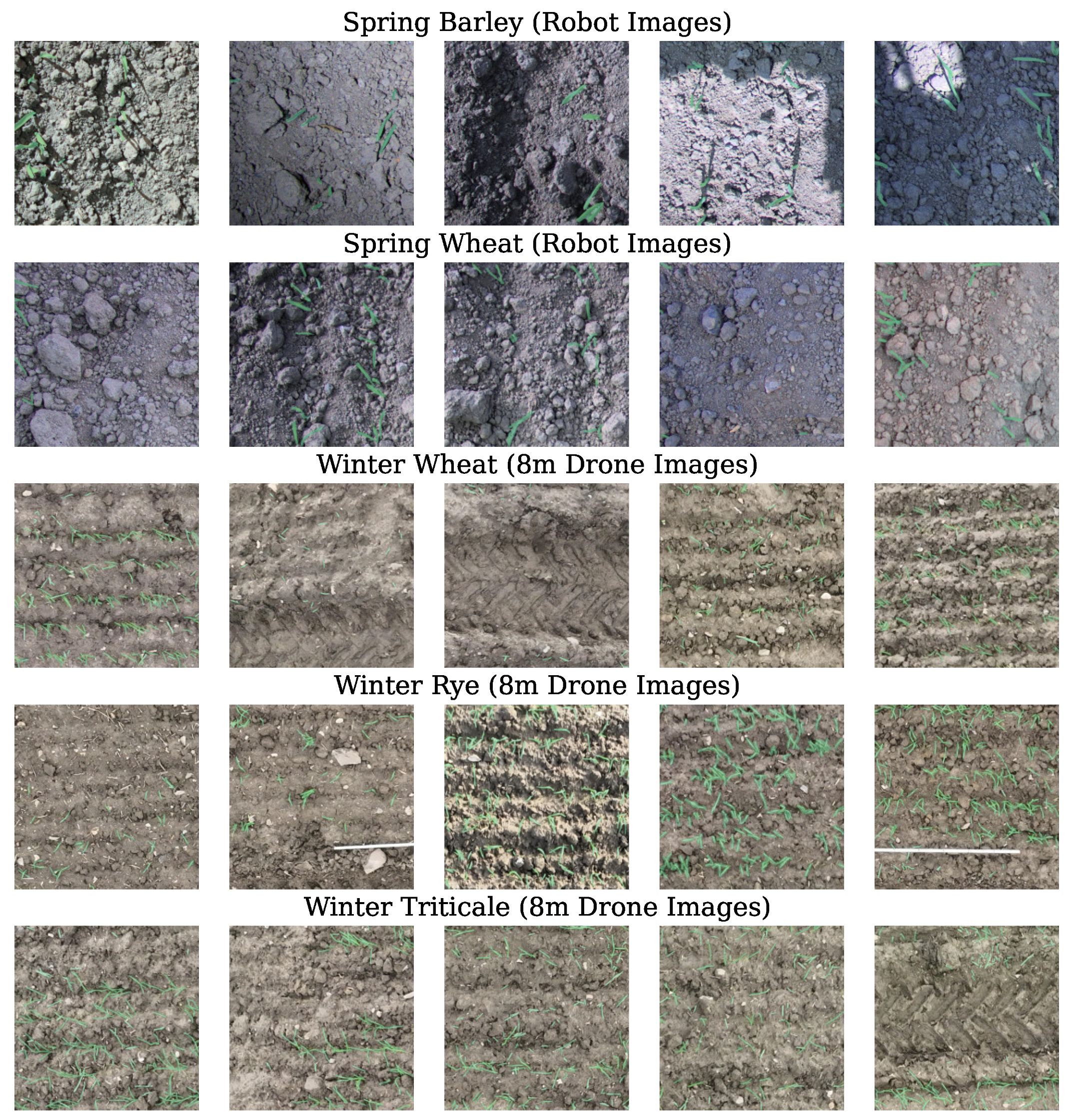 Agriculture 15 00196 g001 Agriculture 15 00196 g001