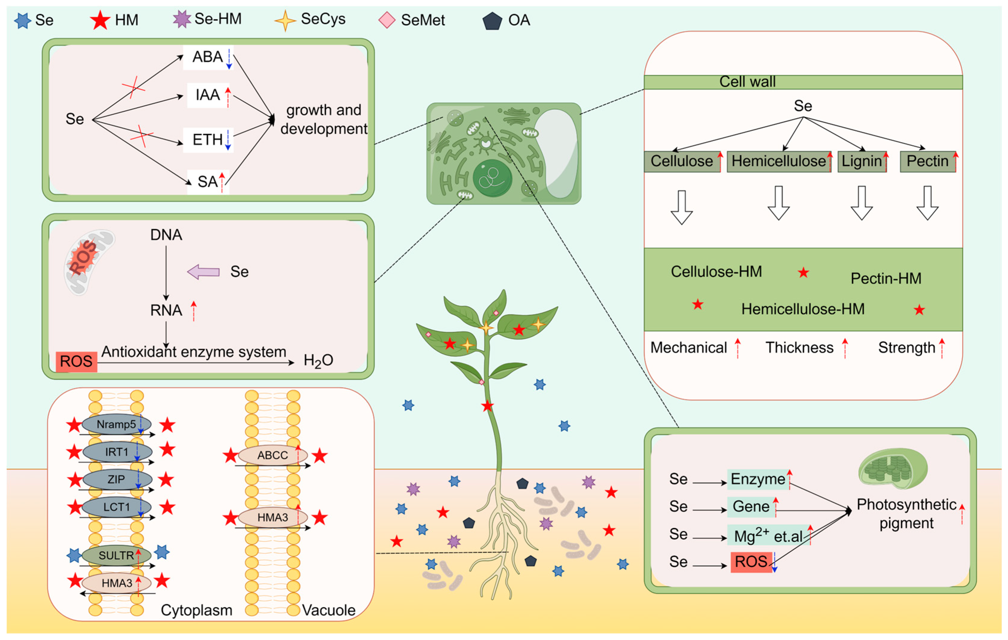 Agriculture 15 00204 g003