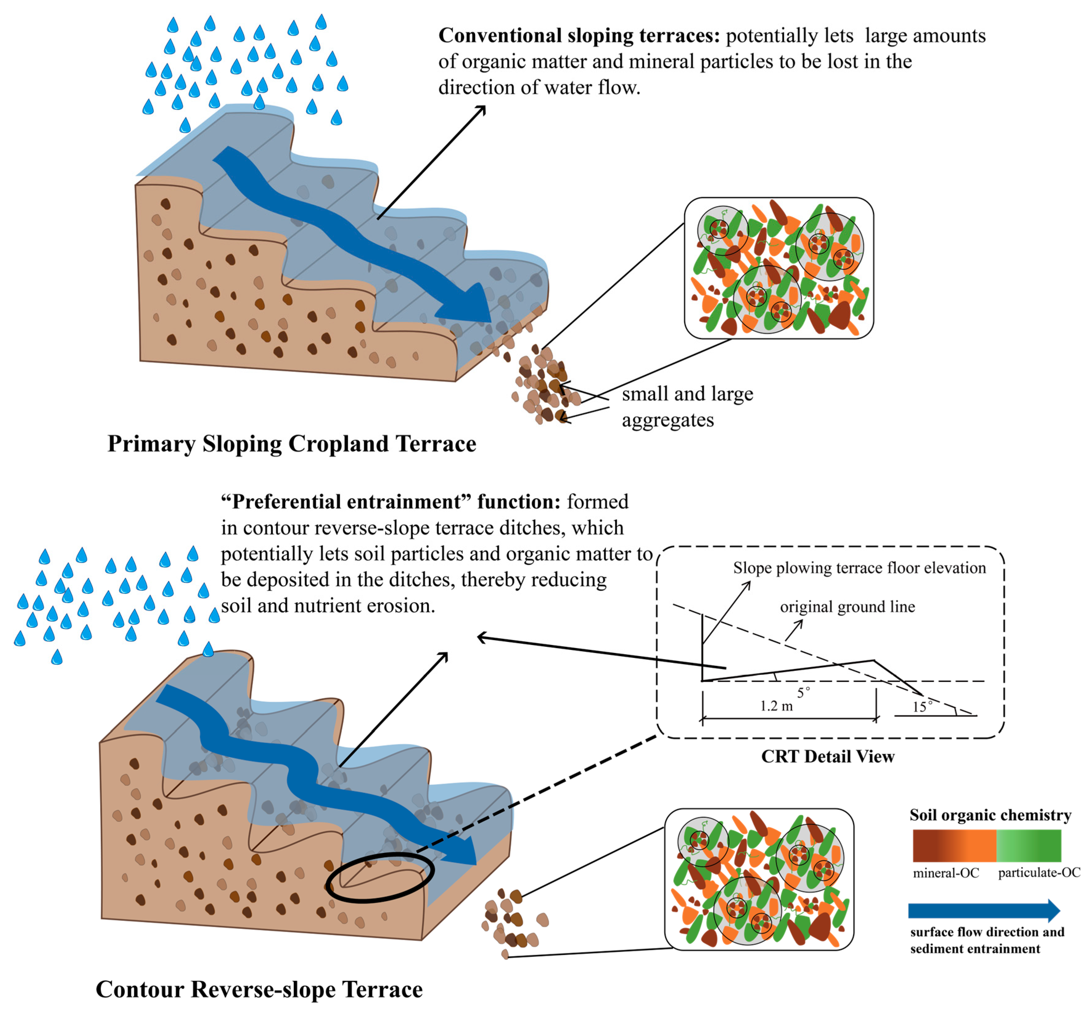 Agriculture 15 00207 g002