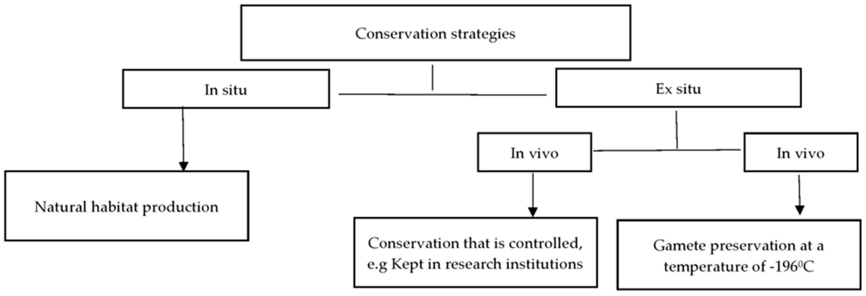 Agriculture 15 00216 g002