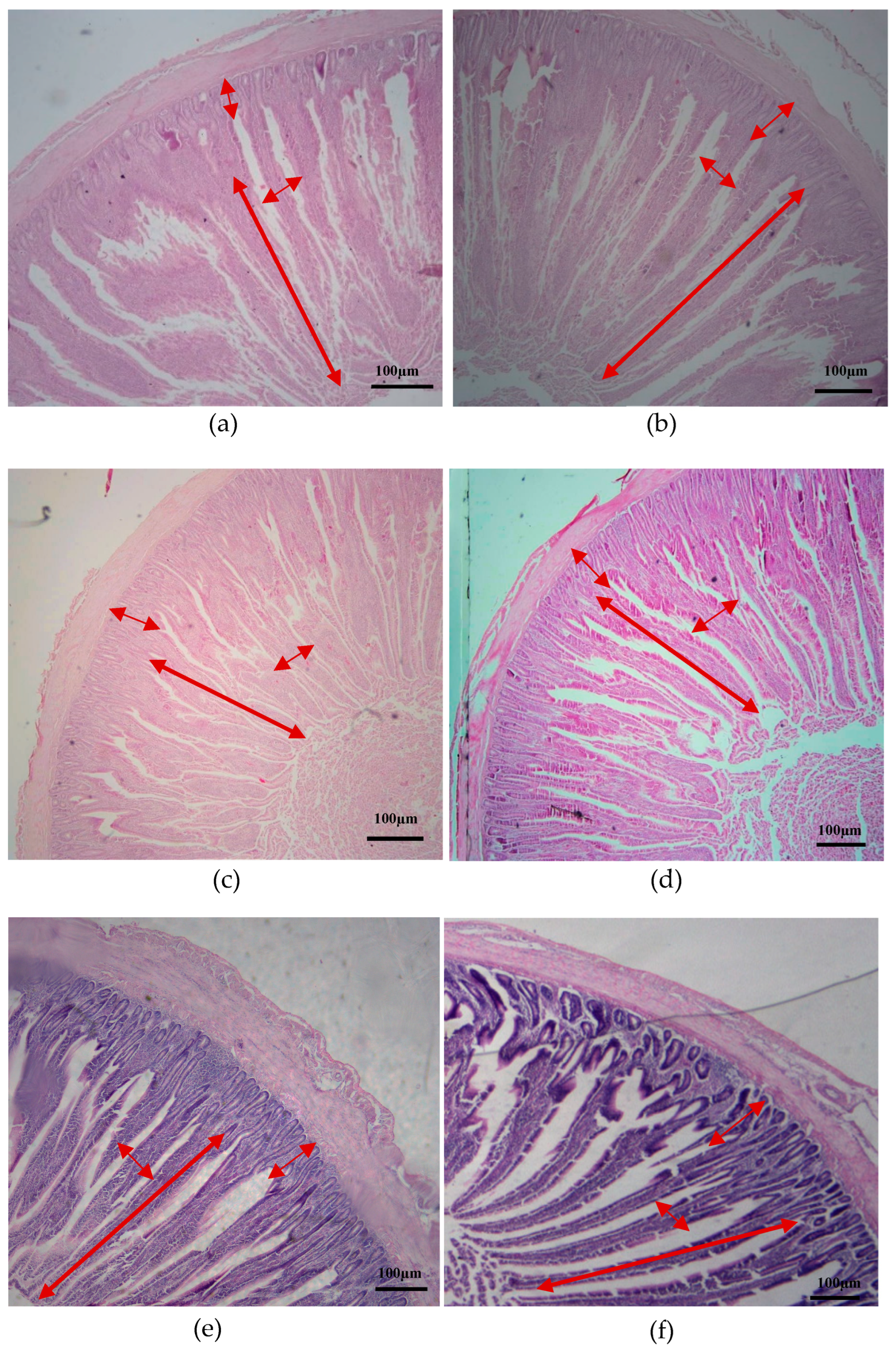 Agriculture 15 00240 g002