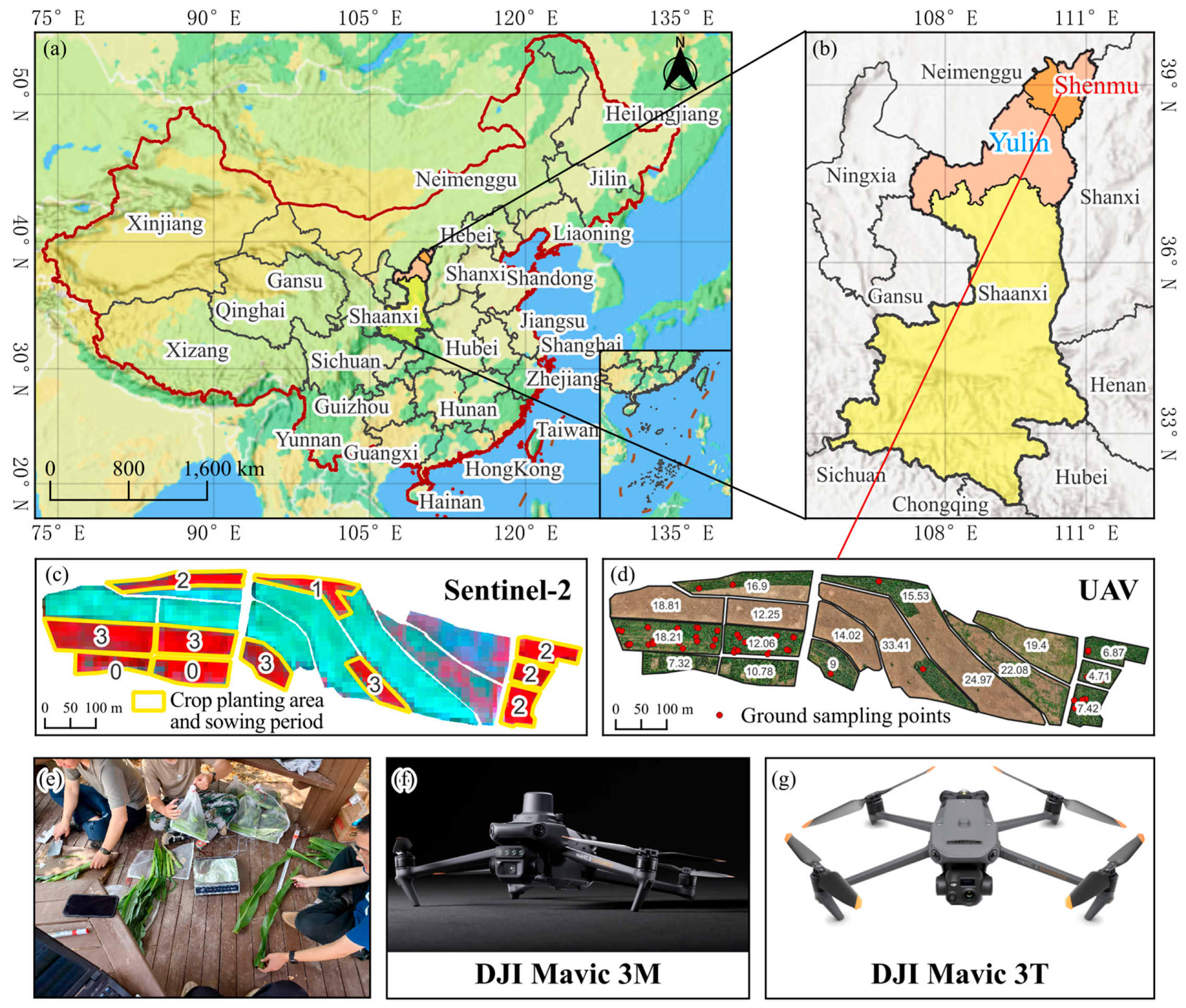Agriculture 15 00243 g001