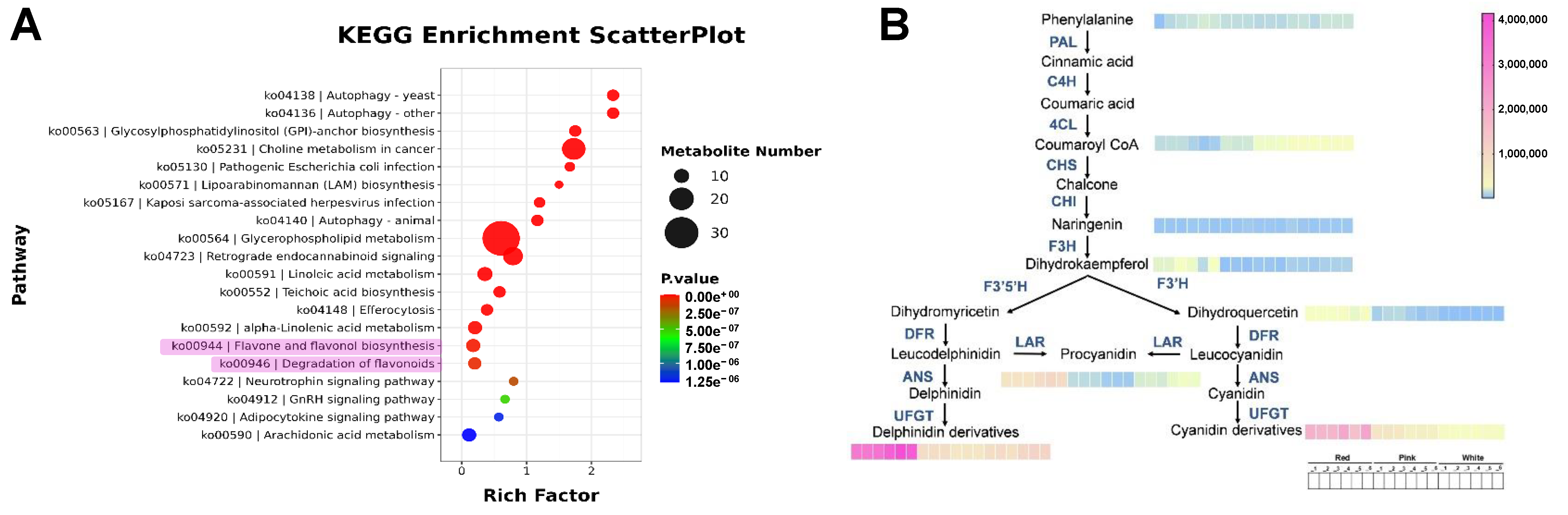 Agriculture 15 00255 g003