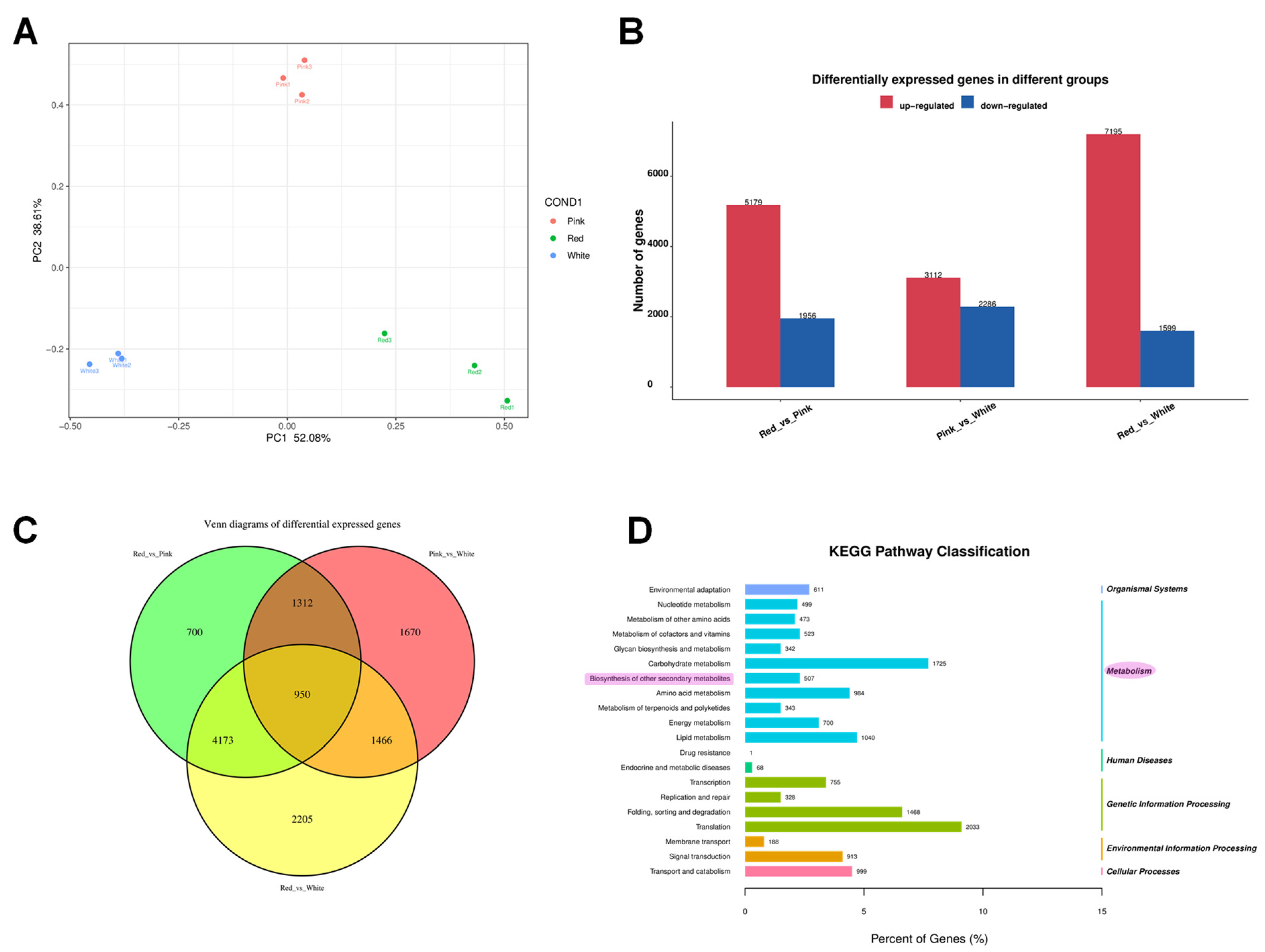Agriculture 15 00255 g004