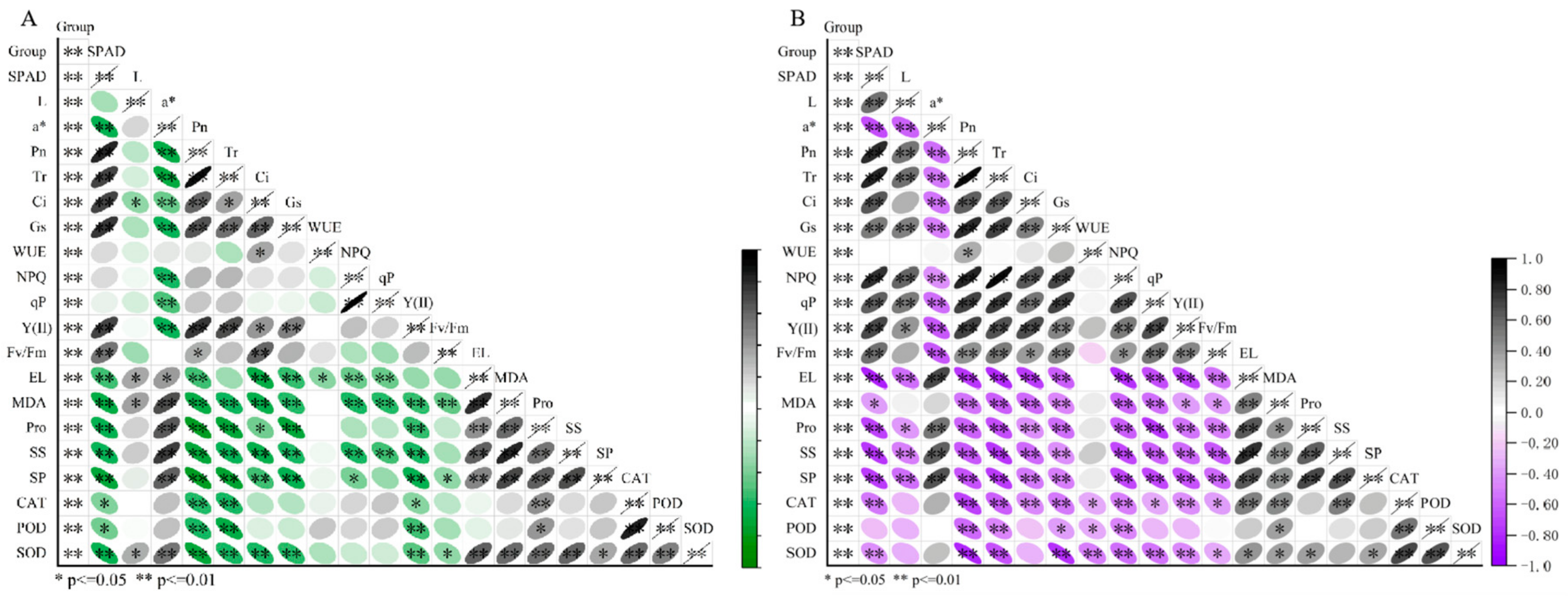 Agriculture 15 00274 g010