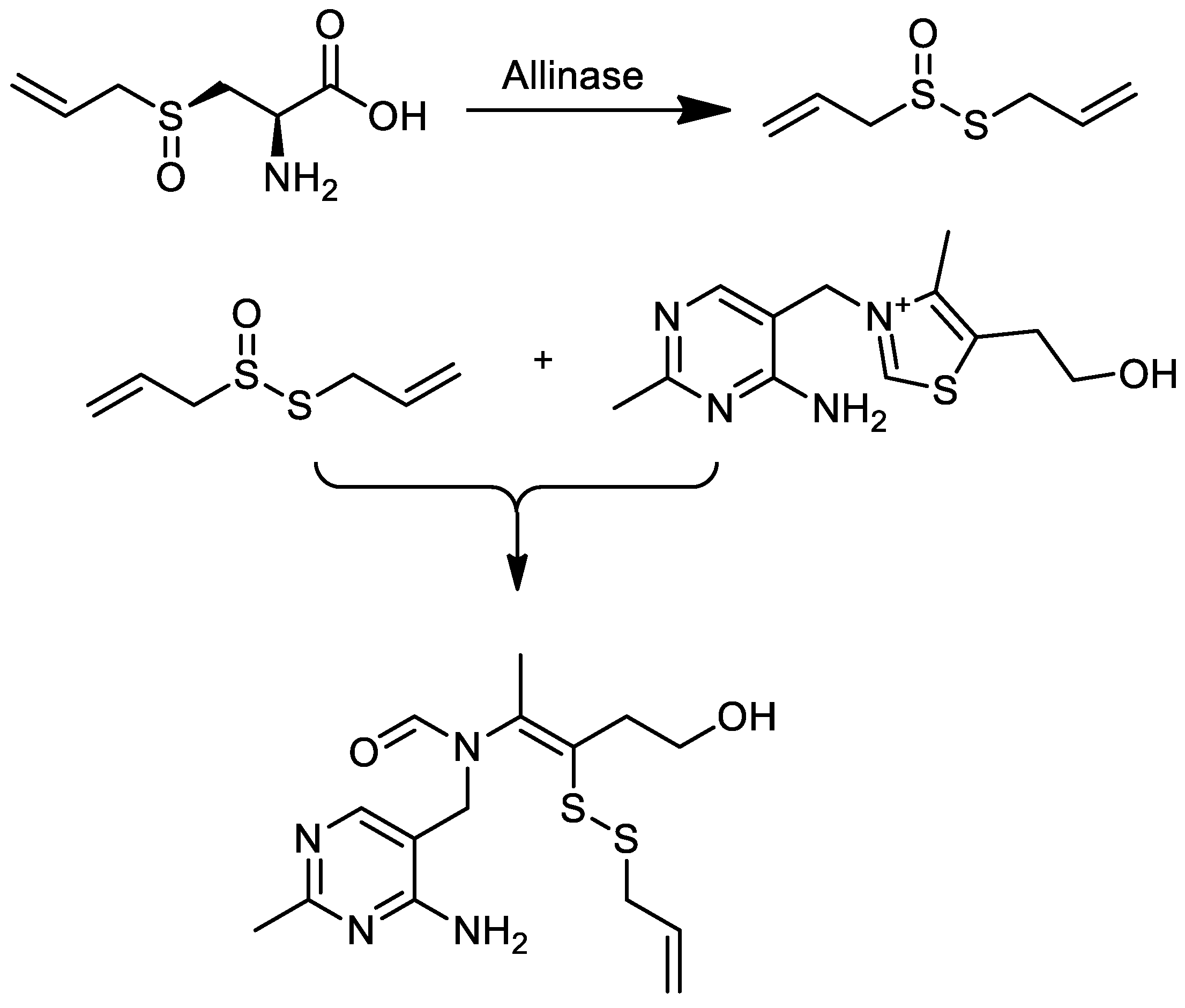 Agriculture 15 00284 g001