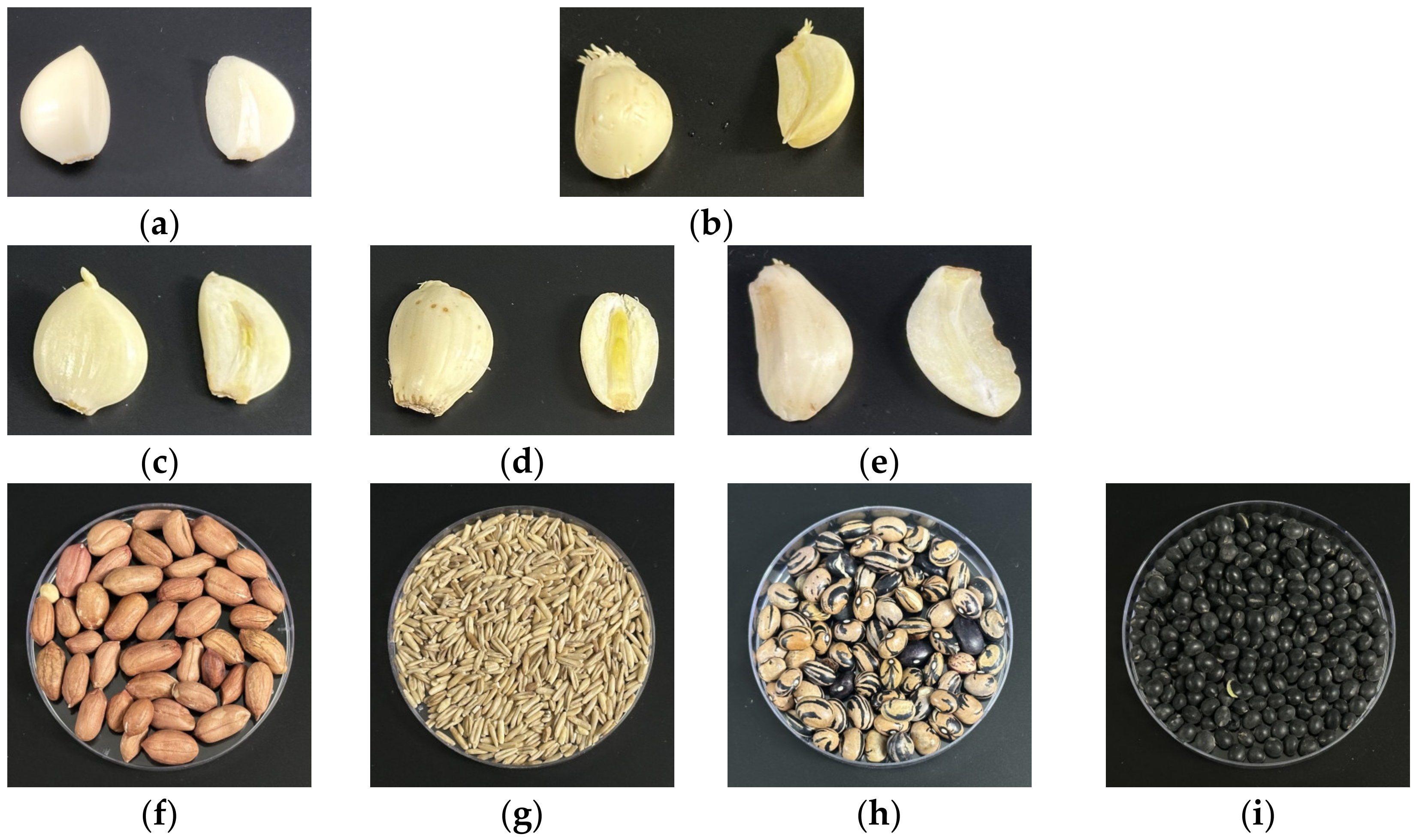 Agriculture 15 00284 g003