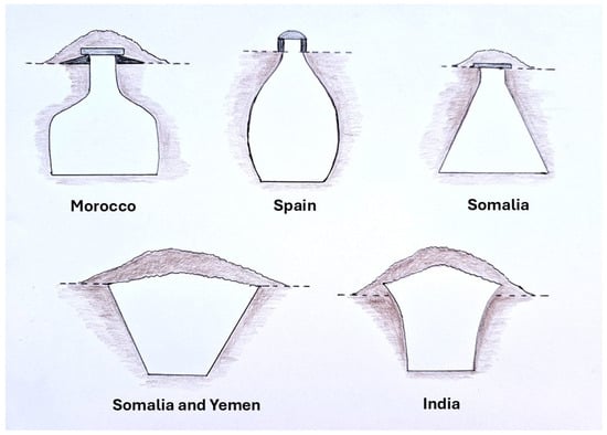 Agriculture 15 00289 g001