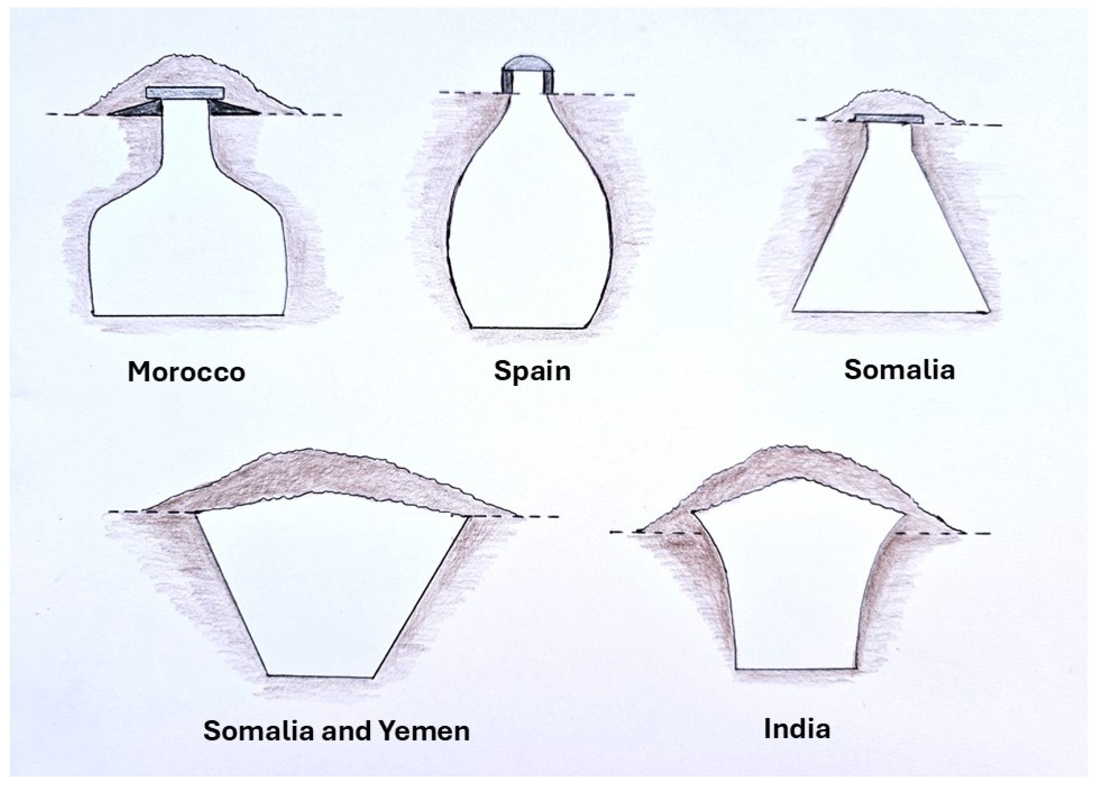 Agriculture 15 00289 g001