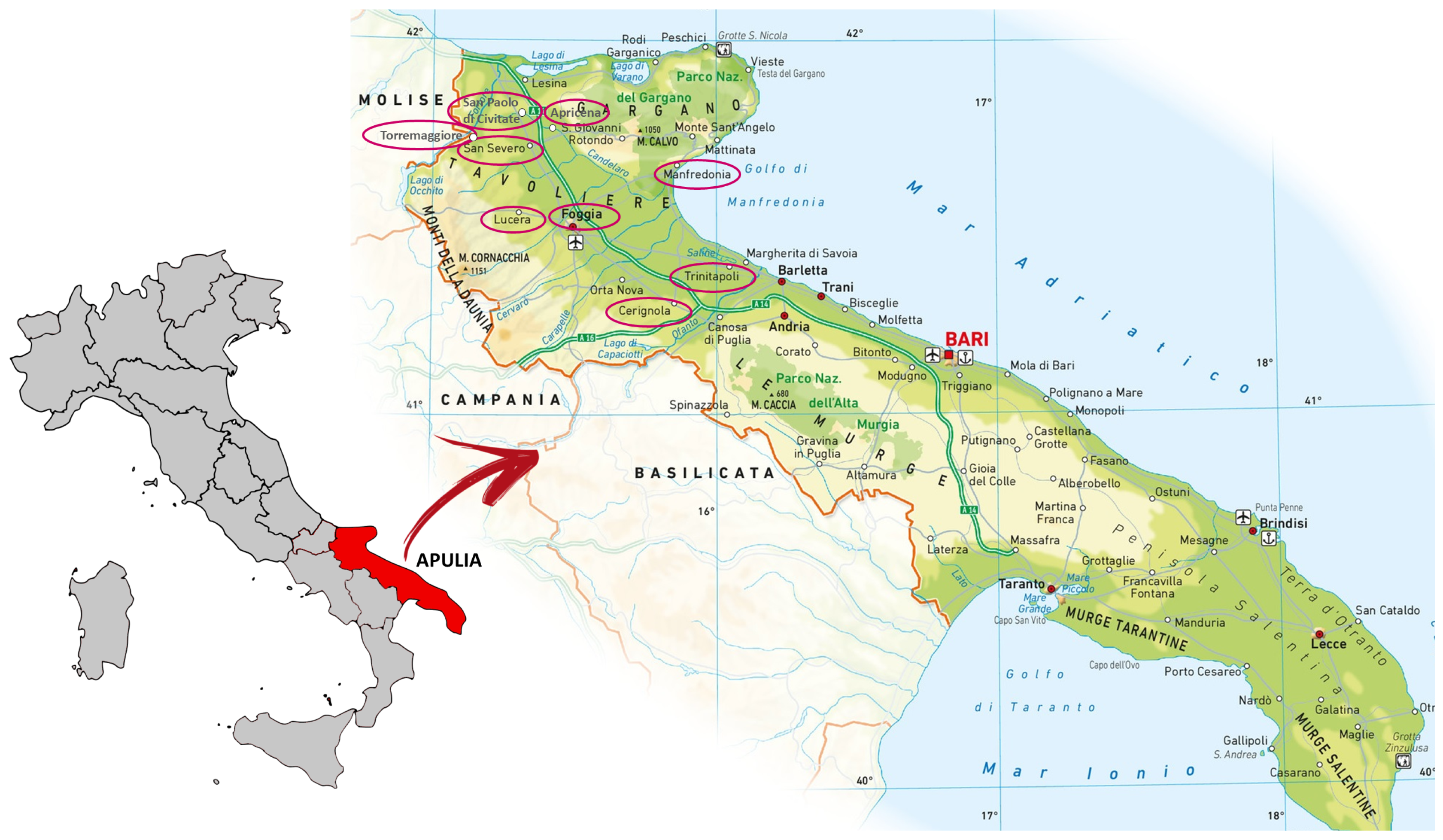 Agriculture 15 00289 g002