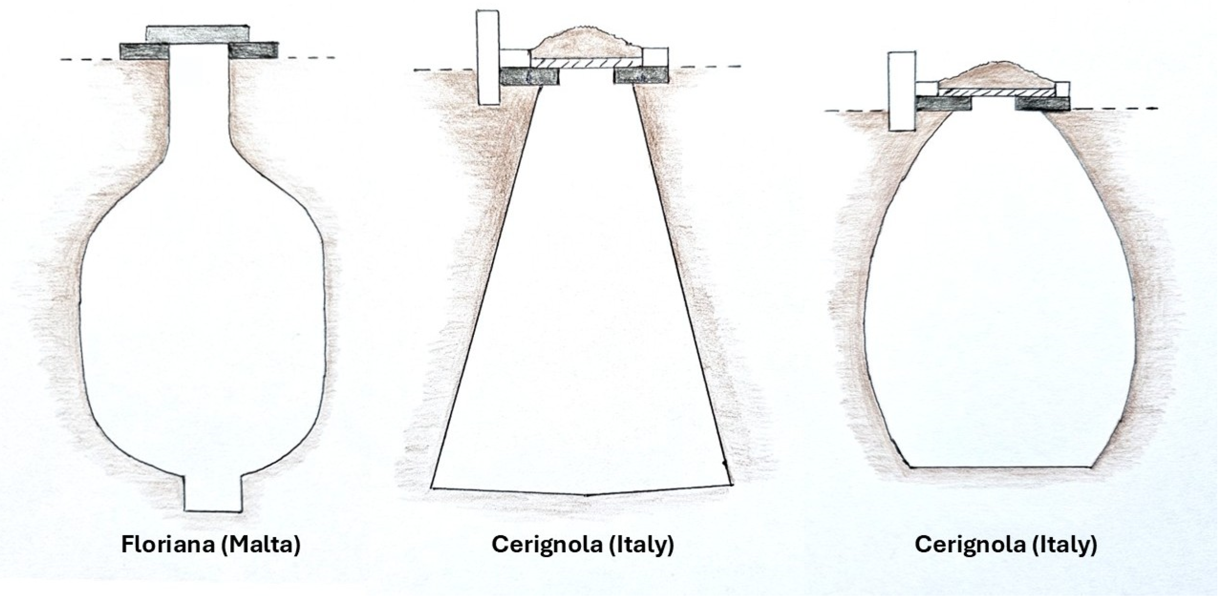 Agriculture 15 00289 g011