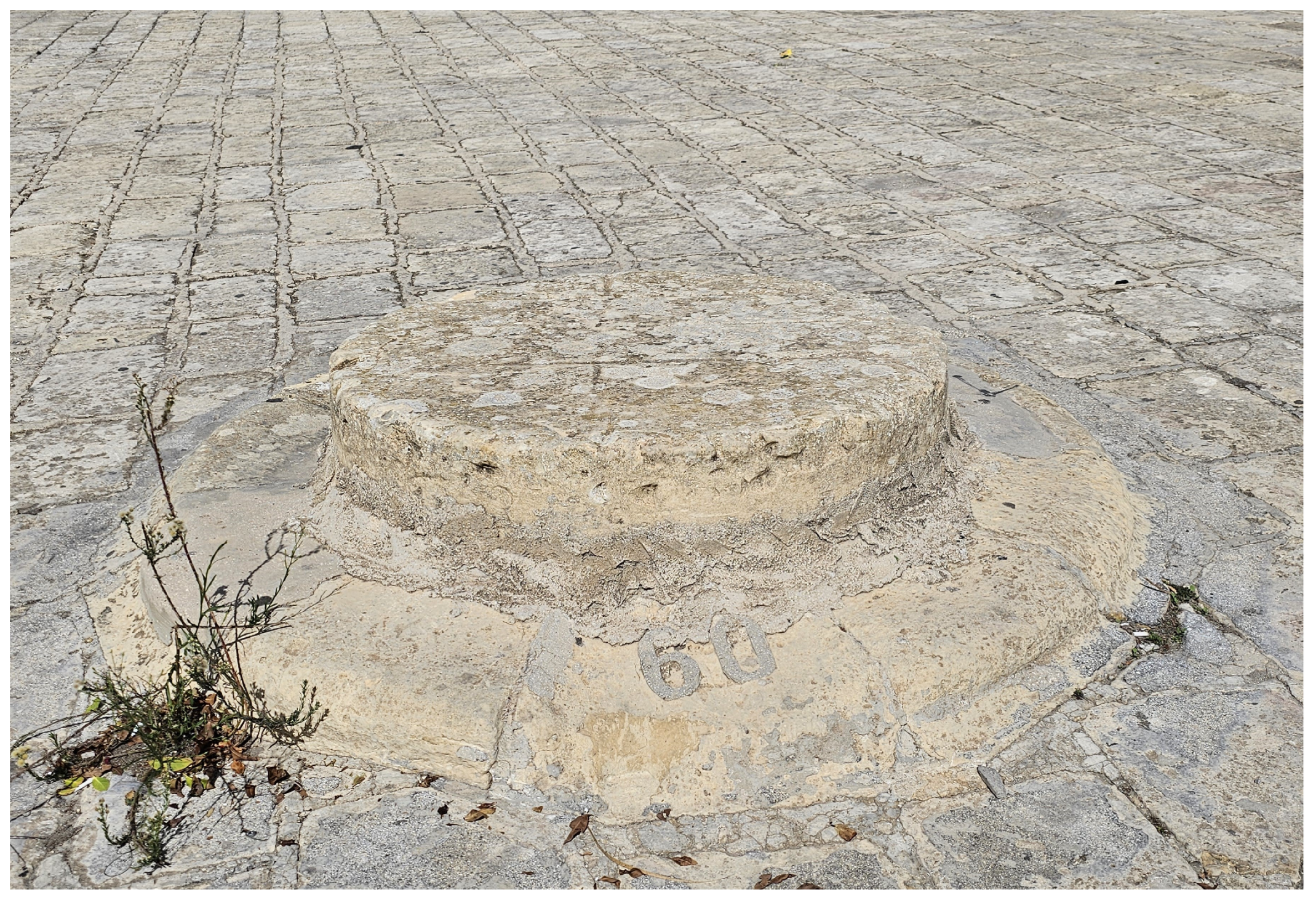 Agriculture 15 00289 g012