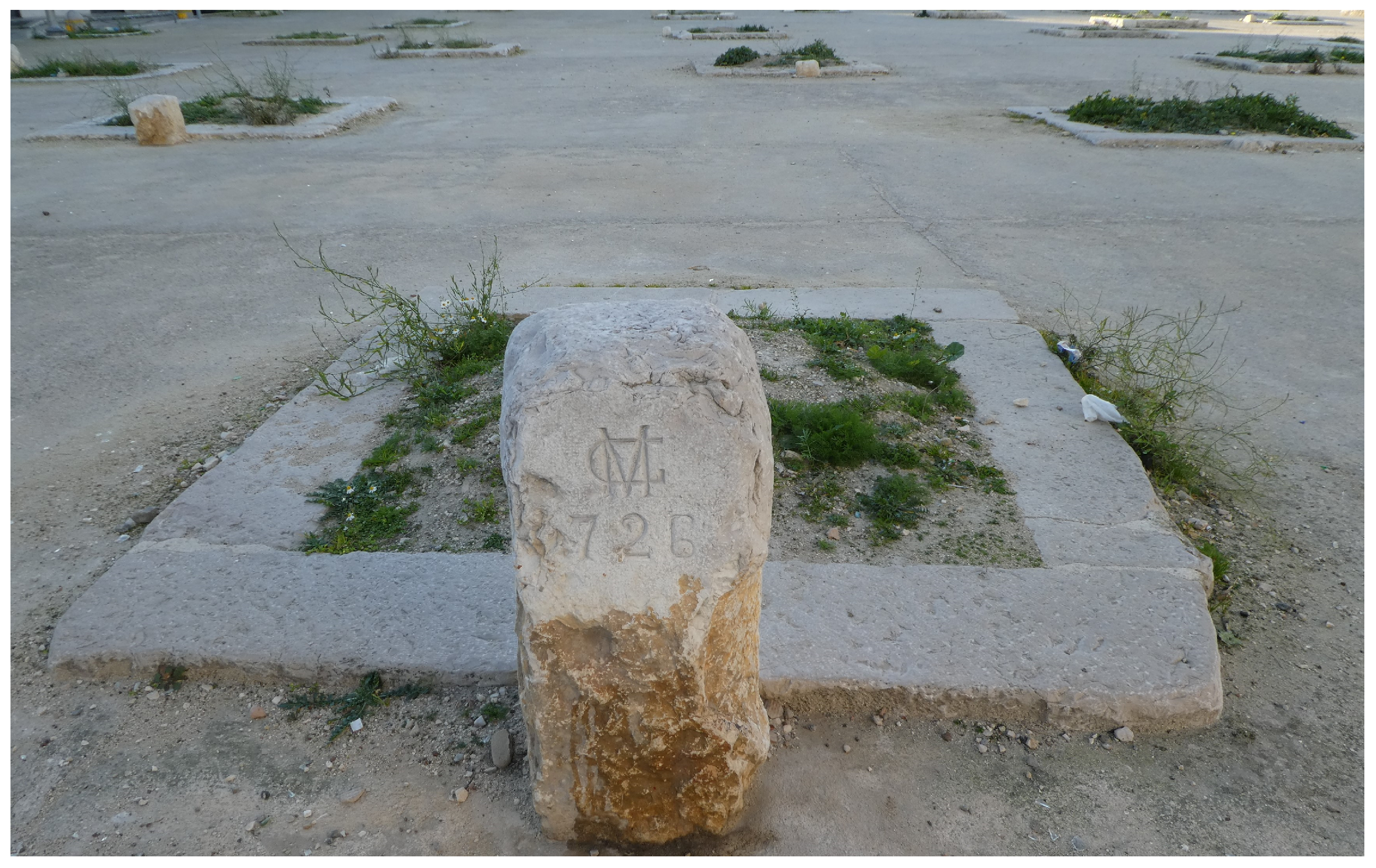 Agriculture 15 00289 g013