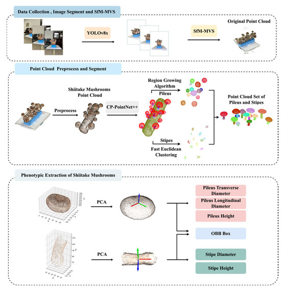Agriculture 15 00298 g001