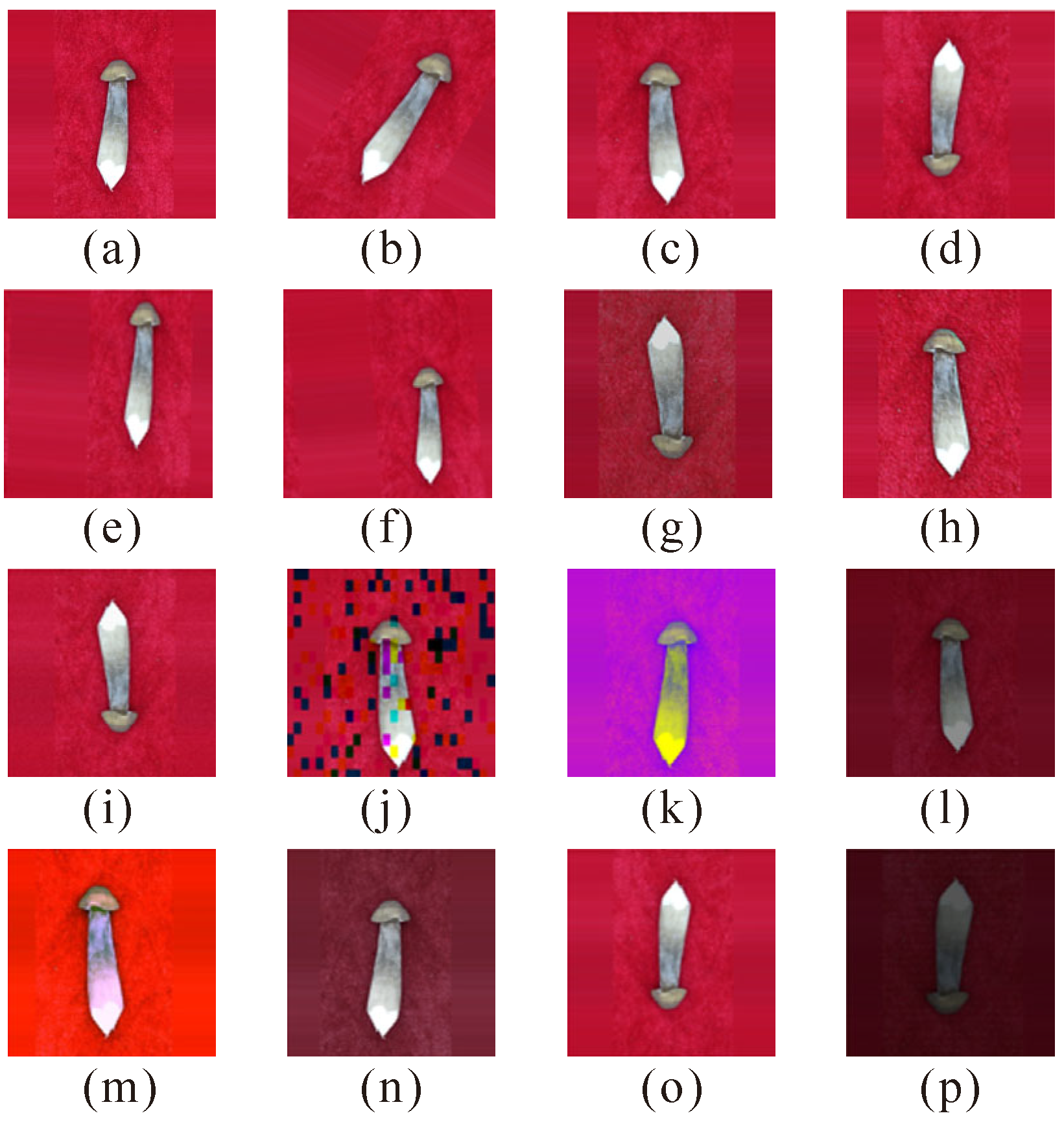 Agriculture 15 00301 g003