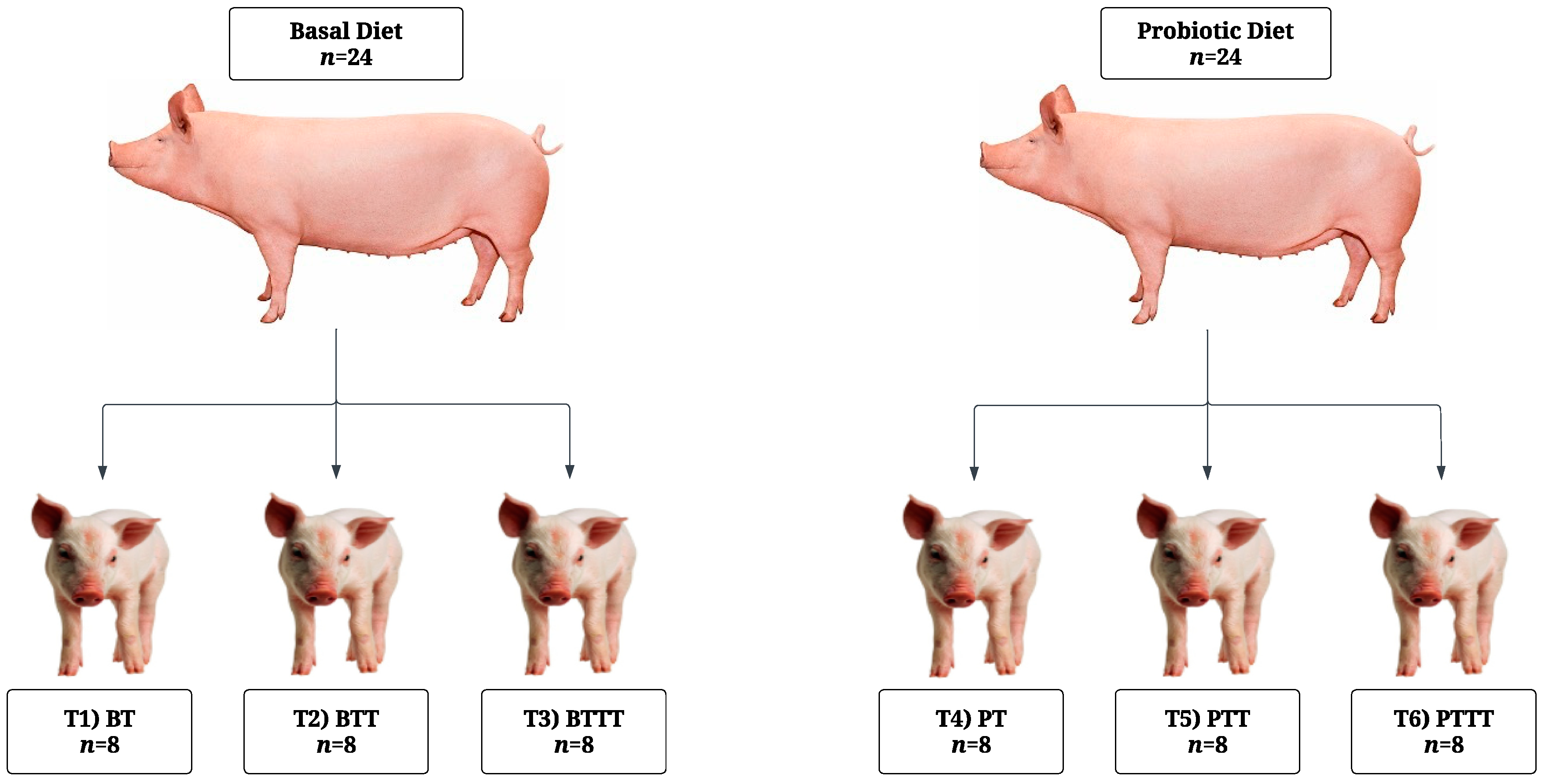 Agriculture 15 00310 g001 Agriculture 15 00310 g001