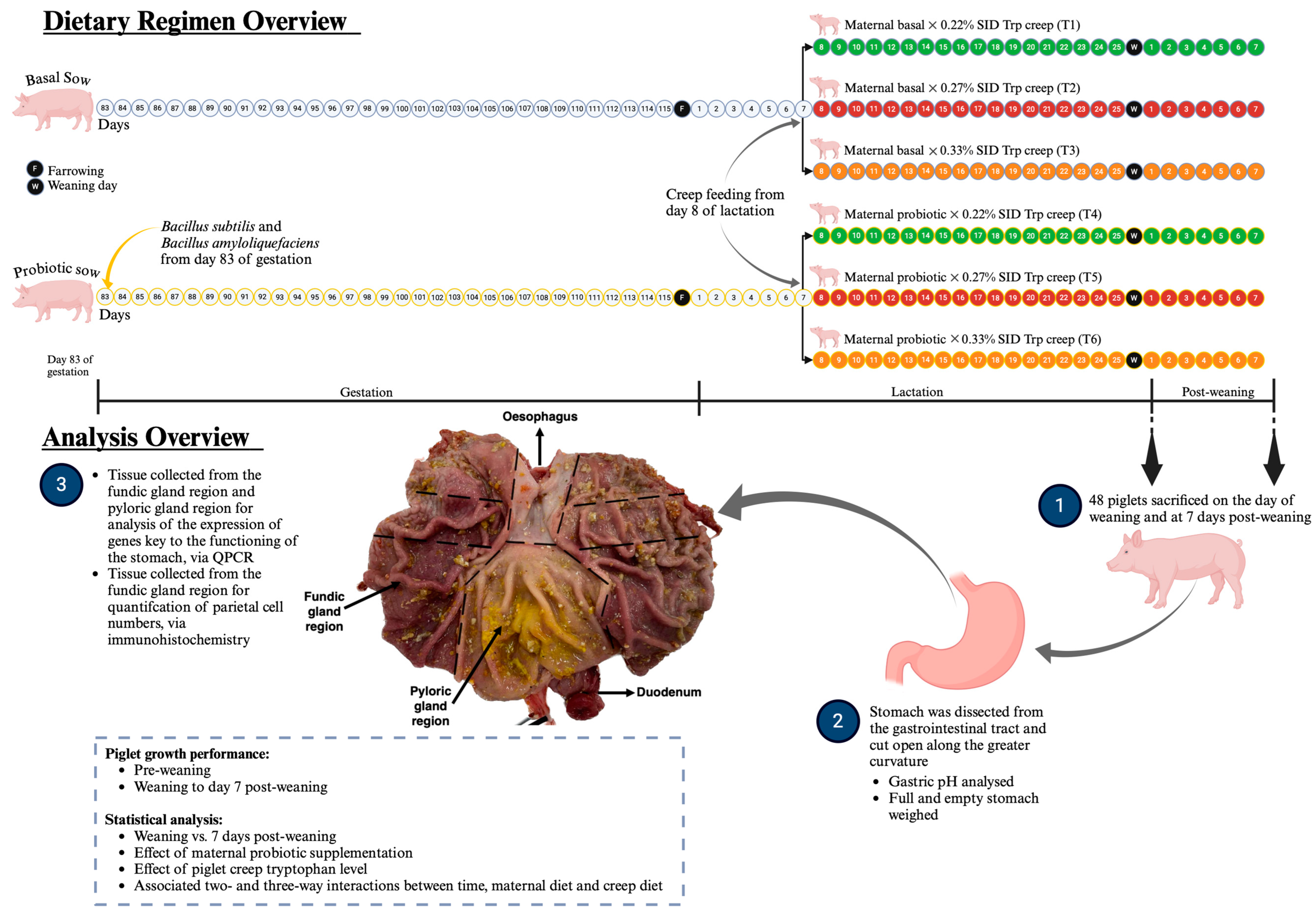 Agriculture 15 00310 g003 Agriculture 15 00310 g003