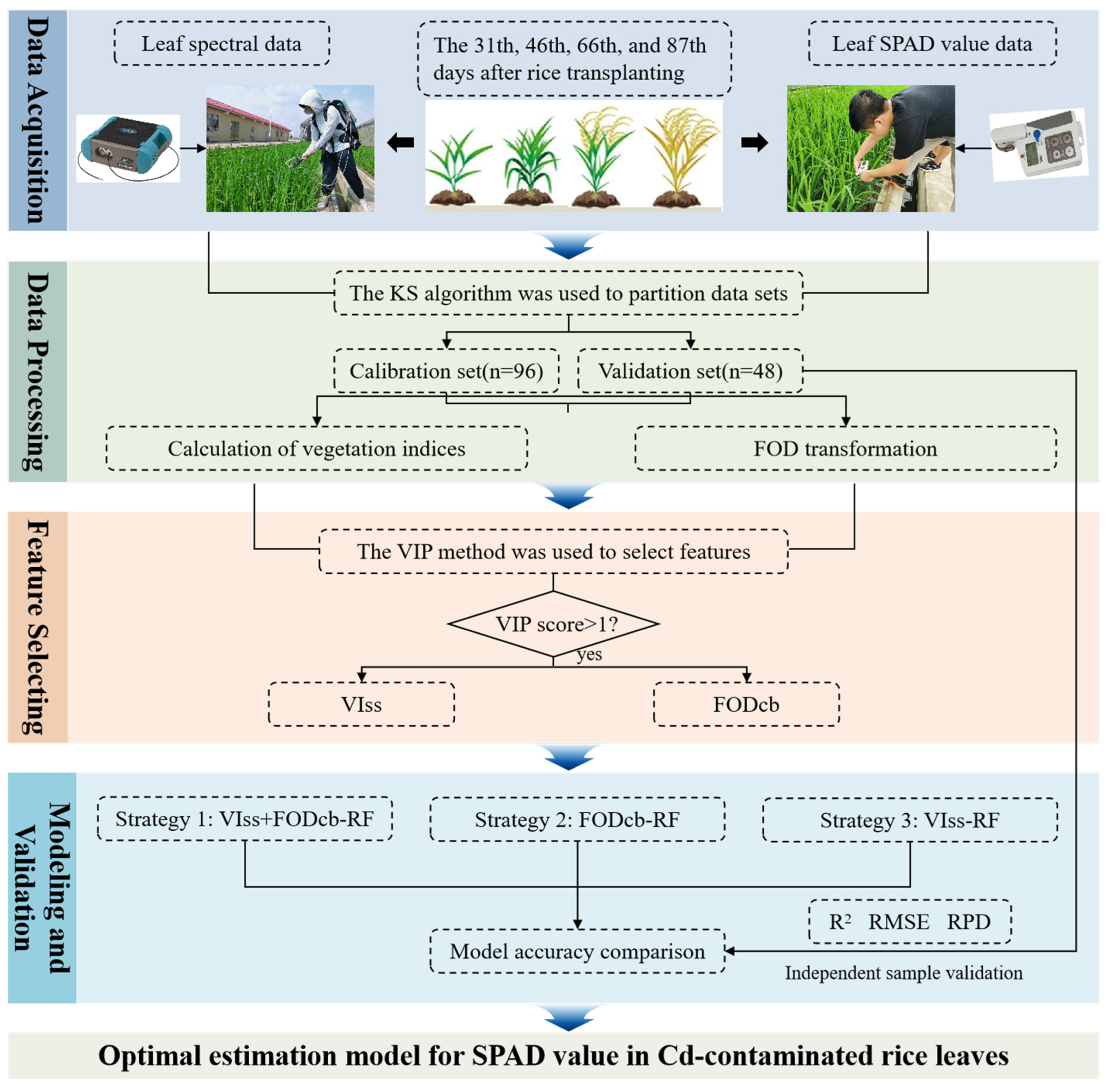 Agriculture 15 00311 g002