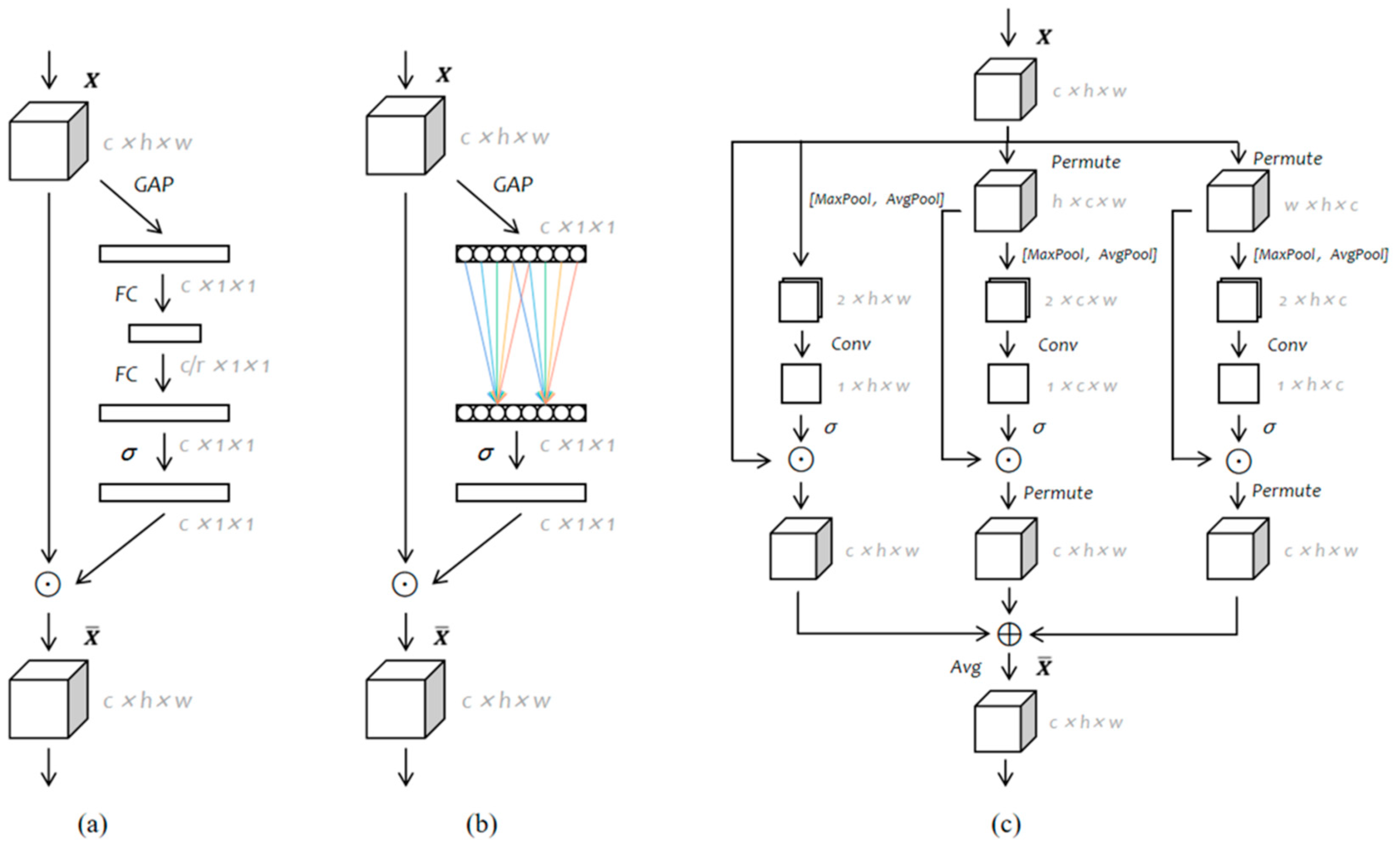 Agriculture 15 00313 g001